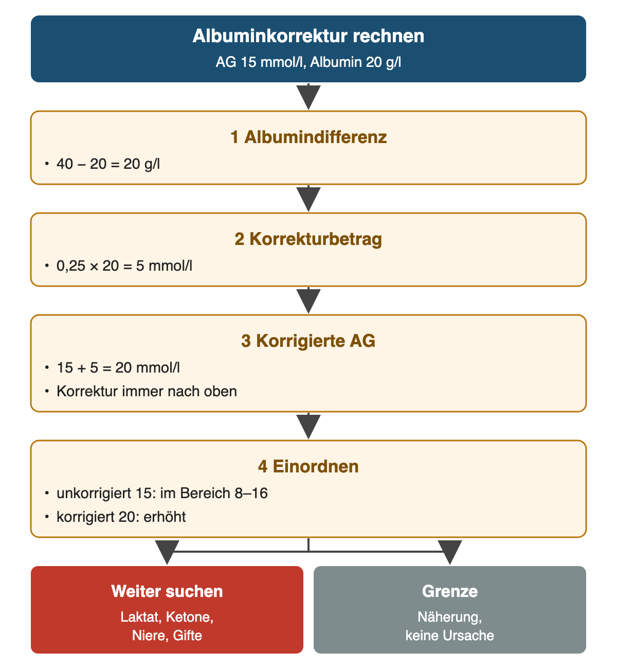 Von oben nach unten: Albuminkorrektur rechnen: AG 15 mmol/l, Albumin 20 g/l; Albumindifferenz: 40 − 20 = 20 g/l; Korrekturbetrag: 0,25 × 20 = 5 mmol/l; Korrigierte AG: 15 + 5 = 20 mmol/l, Korrektur immer nach oben; Einordnen: unkorrigiert 15: im Bereich 8–16, korrigiert 20: erhöht; Ergebnis: Weiter suchen – Laktat, Ketone, Niere, Gifte; Grenze – Näherung, keine Ursache.