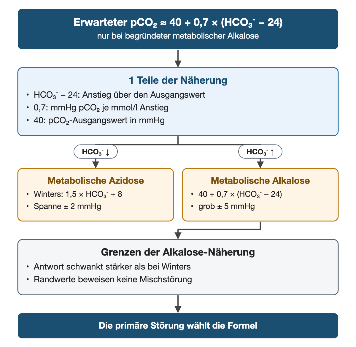 Von oben nach unten. Oben: Erwarteter pCO₂ ≈ 40 + 0,7 × (HCO₃⁻ − 24) (nur bei begründeter metabolischer Alkalose). 1 Teile der Näherung: HCO₃⁻ − 24: Anstieg über den Ausgangswert, 0,7: mmHg pCO₂ je mmol/l Anstieg, 40: pCO₂-Ausgangswert in mmHg. Nebeneinander: HCO₃⁻ ↓ → Metabolische Azidose: Winters: 1,5 × HCO₃⁻ + 8, Spanne ± 2 mmHg | HCO₃⁻ ↑ → Metabolische Alkalose: 40 + 0,7 × (HCO₃⁻ − 24), grob ± 5 mmHg. Grenzen der Alkalose-Näherung: Antwort schwankt stärker als bei Winters, Randwerte beweisen keine Mischstörung. Ergebnis: Die primäre Störung wählt die Formel.