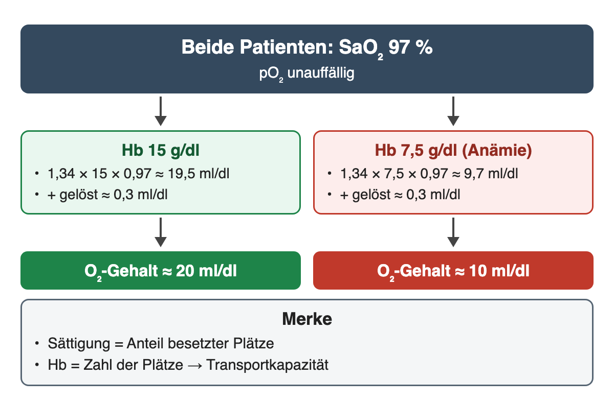 Beide Patienten mit SaO₂ 97 %: Hb 15 g/dl ergibt etwa 20 ml O₂ pro dl, Hb 7,5 g/dl nur etwa 10 ml O₂ pro dl. Die Sättigung beschreibt den Anteil besetzter Plätze, Hb die Zahl der Plätze.