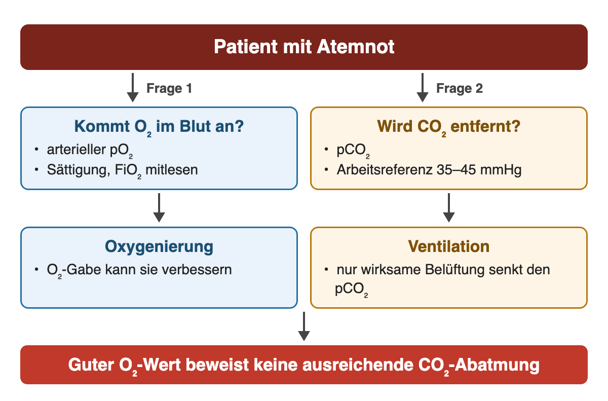 Patient mit Atemnot, zwei Fragen: Kommt O₂ an? Arterieller pO₂ mit Sättigung und FiO₂. Wird CO₂ entfernt? pCO₂, Arbeitsreferenz 35–45 mmHg. O₂-Gabe kann die Oxygenierung verbessern, nur wirksame Belüftung senkt den pCO₂.