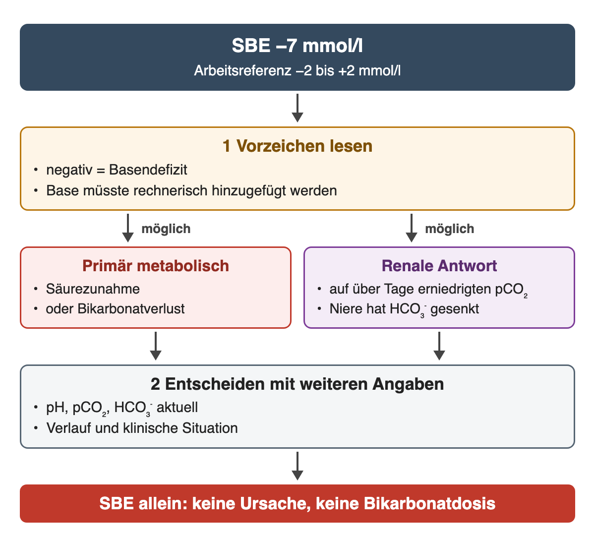 SBE −7 mmol/l: Das negative Vorzeichen bedeutet Basendefizit. Mögliche Herkunft: primär metabolisch oder renale Antwort auf einen über Tage erniedrigten pCO₂. Entscheidung nur mit pH, pCO₂, HCO₃⁻, Verlauf und Klinik; SBE allein liefert weder Ursache noch Bikarbonatdosis.