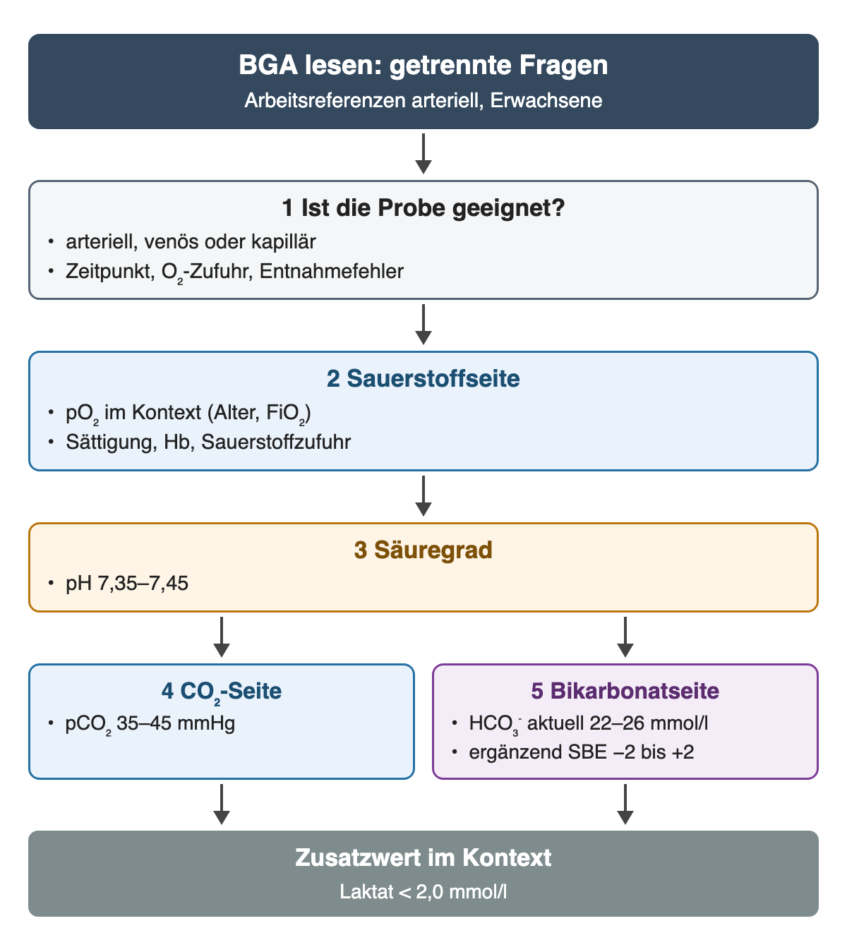 BGA in fünf Fragen mit Arbeitsreferenzen: 1 Probe geeignet, 2 Sauerstoffseite im Kontext, 3 Säuregrad pH 7,35–7,45, 4 CO₂-Seite pCO₂ 35–45 mmHg, 5 Bikarbonatseite HCO₃⁻ 22–26 mmol/l und SBE −2 bis +2. Zusatzwert Laktat unter 2,0 mmol/l im Kontext.