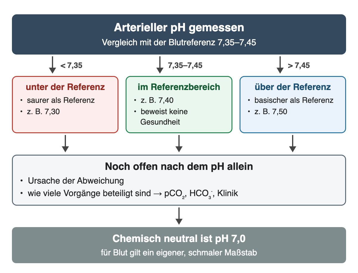 Arterieller pH: unter 7,35 unter der Referenz, 7,35–7,45 im Referenzbereich, über 7,45 über der Referenz, jeweils mit Beispiel. Offen bleiben Ursache und Zahl der beteiligten Vorgänge. Chemisch neutral ist pH 7,0.