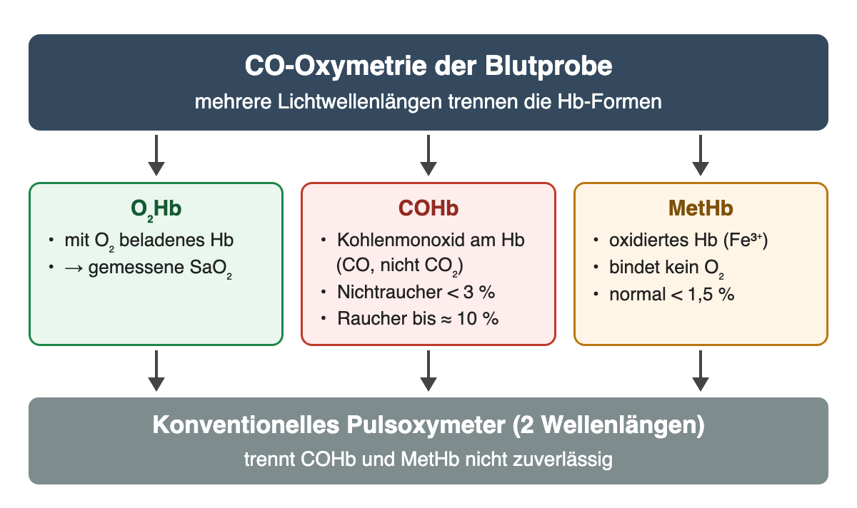 CO-Oxymetrie trennt O₂Hb, COHb (Nichtraucher unter 3 %, Raucher bis etwa 10 %) und MetHb (normal unter 1,5 %). Ein konventionelles Pulsoxymeter mit zwei Wellenlängen trennt COHb und MetHb nicht zuverlässig.