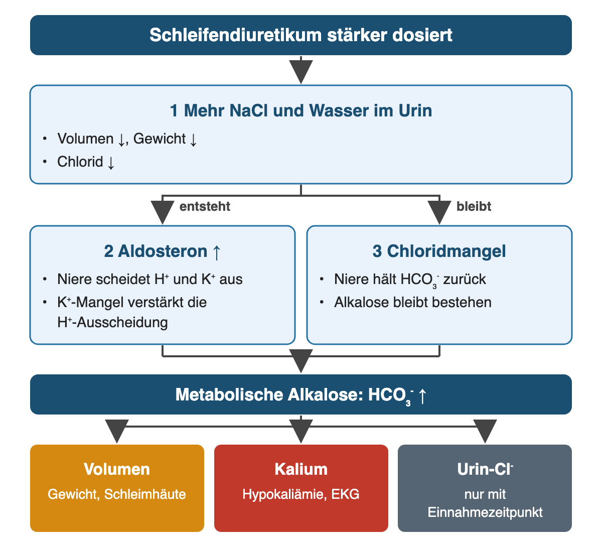 Oben: Schleifendiuretikum stärker dosiert. 1 Mehr NaCl und Wasser im Urin: Volumen und Gewicht sinken, Chlorid sinkt. Zwei Zweige: entsteht – 2 Aldosteron steigt, die Niere scheidet H⁺ und K⁺ aus, K⁺-Mangel verstärkt die H⁺-Ausscheidung; bleibt – 3 Chloridmangel, die Niere hält HCO₃⁻ zurück, die Alkalose bleibt bestehen. Ergebnis: metabolische Alkalose mit steigendem HCO₃⁻. Ergebniszeile: Volumen (Gewicht, Schleimhäute), Kalium (Hypokaliämie, EKG), Urin-Cl⁻ nur mit Einnahmezeitpunkt.