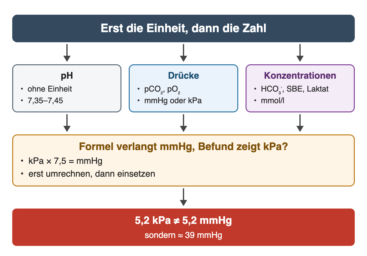 Erst die Einheit: pH ohne Einheit, Drücke pCO₂ und pO₂ in mmHg oder kPa, Konzentrationen HCO₃⁻, SBE und Laktat in mmol/l. Verlangt eine Formel mmHg, wird ein kPa-Wert mit 7,5 multipliziert: 5,2 kPa sind etwa 39 mmHg, nicht 5,2 mmHg.