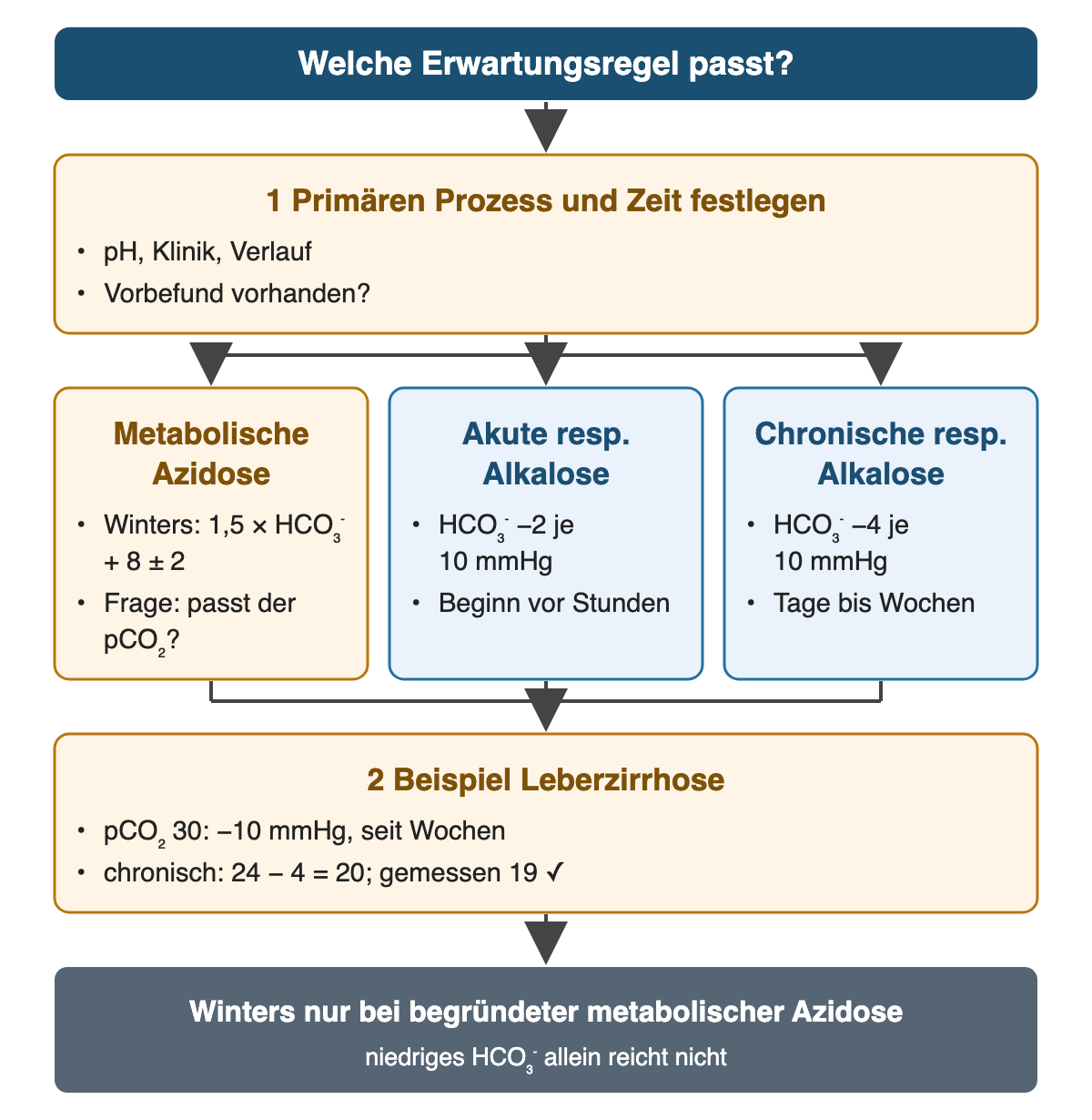Oben: Welche Erwartungsregel passt? 1 Primären Prozess und Zeit festlegen: pH, Klinik, Verlauf, Vorbefund. Drei Wege nebeneinander: metabolische Azidose – Winters 1,5 × HCO₃⁻ + 8 ± 2, passt der pCO₂?; akute respiratorische Alkalose – HCO₃⁻ −2 je 10 mmHg, Beginn vor Stunden; chronische respiratorische Alkalose – HCO₃⁻ −4 je 10 mmHg, Tage bis Wochen. 2 Beispiel Leberzirrhose: pCO₂ 30, also −10 mmHg seit Wochen; chronisch 24 − 4 = 20, gemessen 19 passt. Ergebnis: Winters nur bei begründeter metabolischer Azidose; niedriges HCO₃⁻ allein reicht nicht.