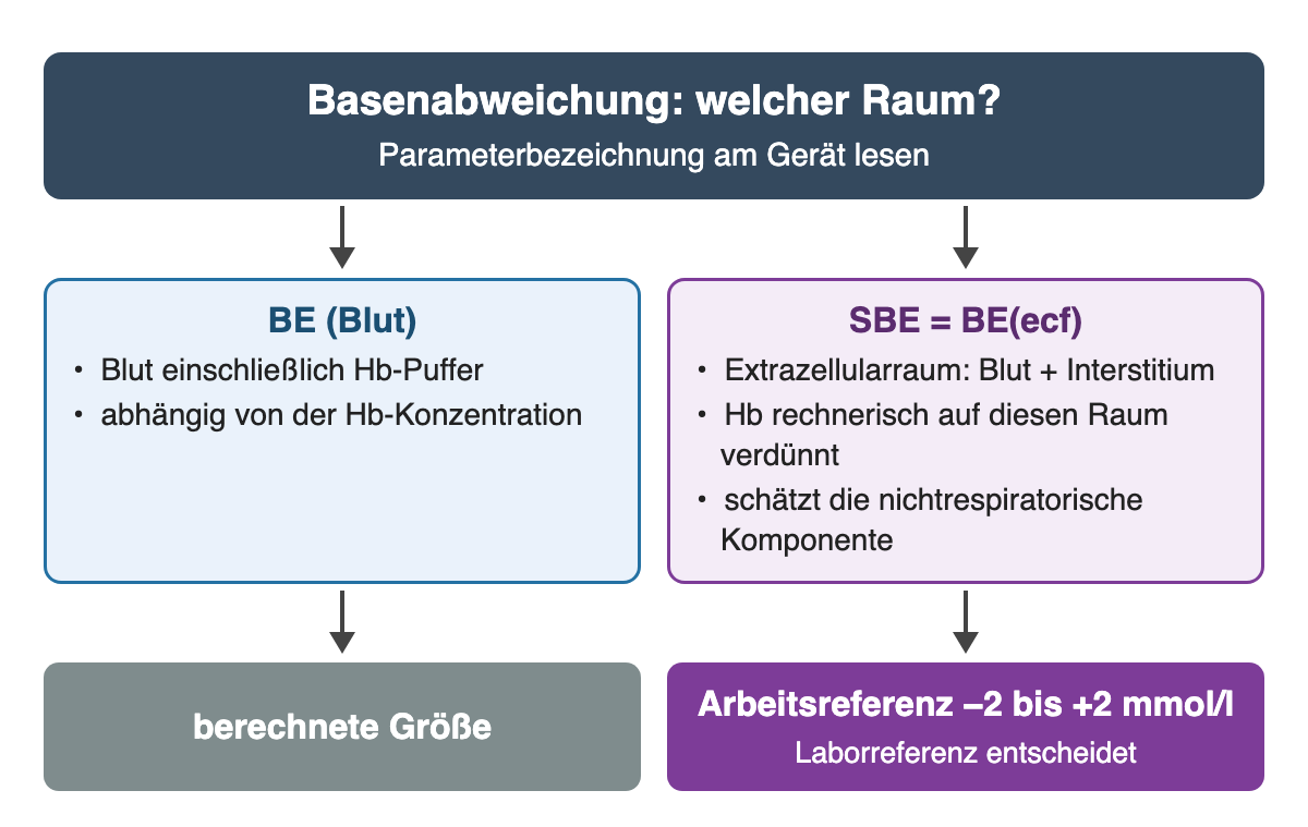 BE des Blutes mit Hb-Puffer gegenüber SBE beziehungsweise BE(ecf) für den Extrazellularraum mit rechnerisch verdünntem Hb; beide berechnet, Arbeitsreferenz −2 bis +2 mmol/l, die Laborreferenz entscheidet.