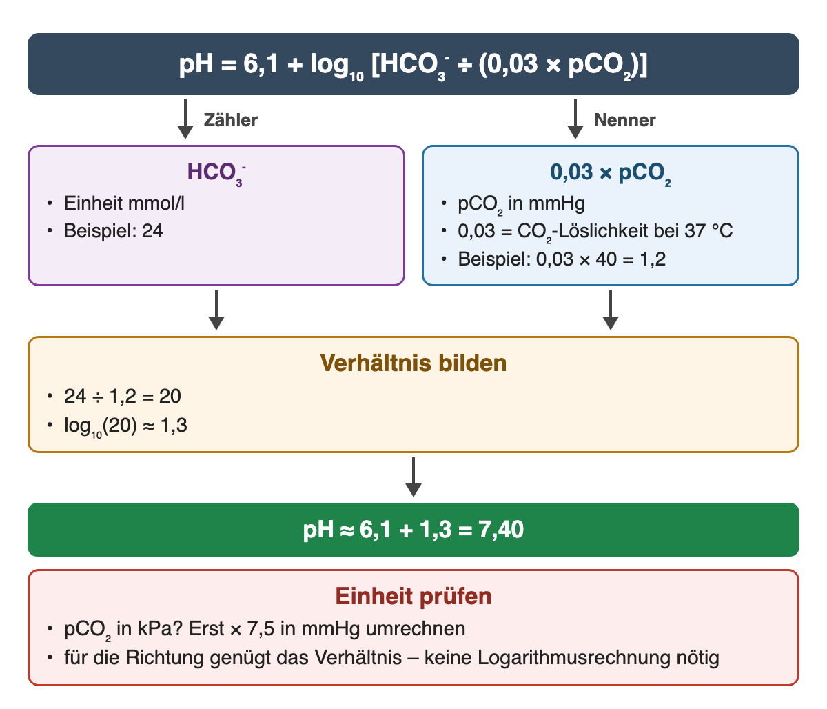 Henderson-Hasselbalch-Gleichung: Zähler HCO₃⁻ in mmol/l, Beispiel 24; Nenner 0,03 × pCO₂ in mmHg, Beispiel 1,2. Verhältnis 24 ÷ 1,2 = 20, log₁₀(20) ≈ 1,3, pH ≈ 7,40. Hinweis: pCO₂ in kPa zuerst mit 7,5 in mmHg umrechnen.
