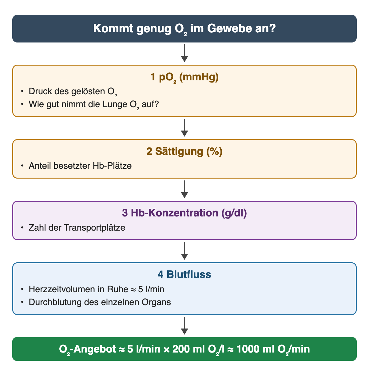 Von oben nach unten: pO₂, Sättigung, Hb-Konzentration und Blutfluss mit einem Herzzeitvolumen von etwa 5 l/min. Ergebnis: O₂-Angebot etwa 5 l/min × 200 ml O₂/l ≈ 1000 ml O₂ pro Minute.