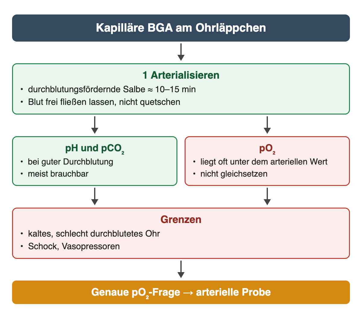 Kapilläre BGA am Ohrläppchen: 1 arterialisieren mit durchblutungsfördernder Salbe etwa 10–15 Minuten, Blut frei fließen lassen. pH und pCO₂ bei guter Durchblutung meist brauchbar; pO₂ oft niedriger als arteriell. Grenzen: kaltes Ohr, Schock, Vasopressoren. Genaue pO₂-Frage: arterielle Probe.