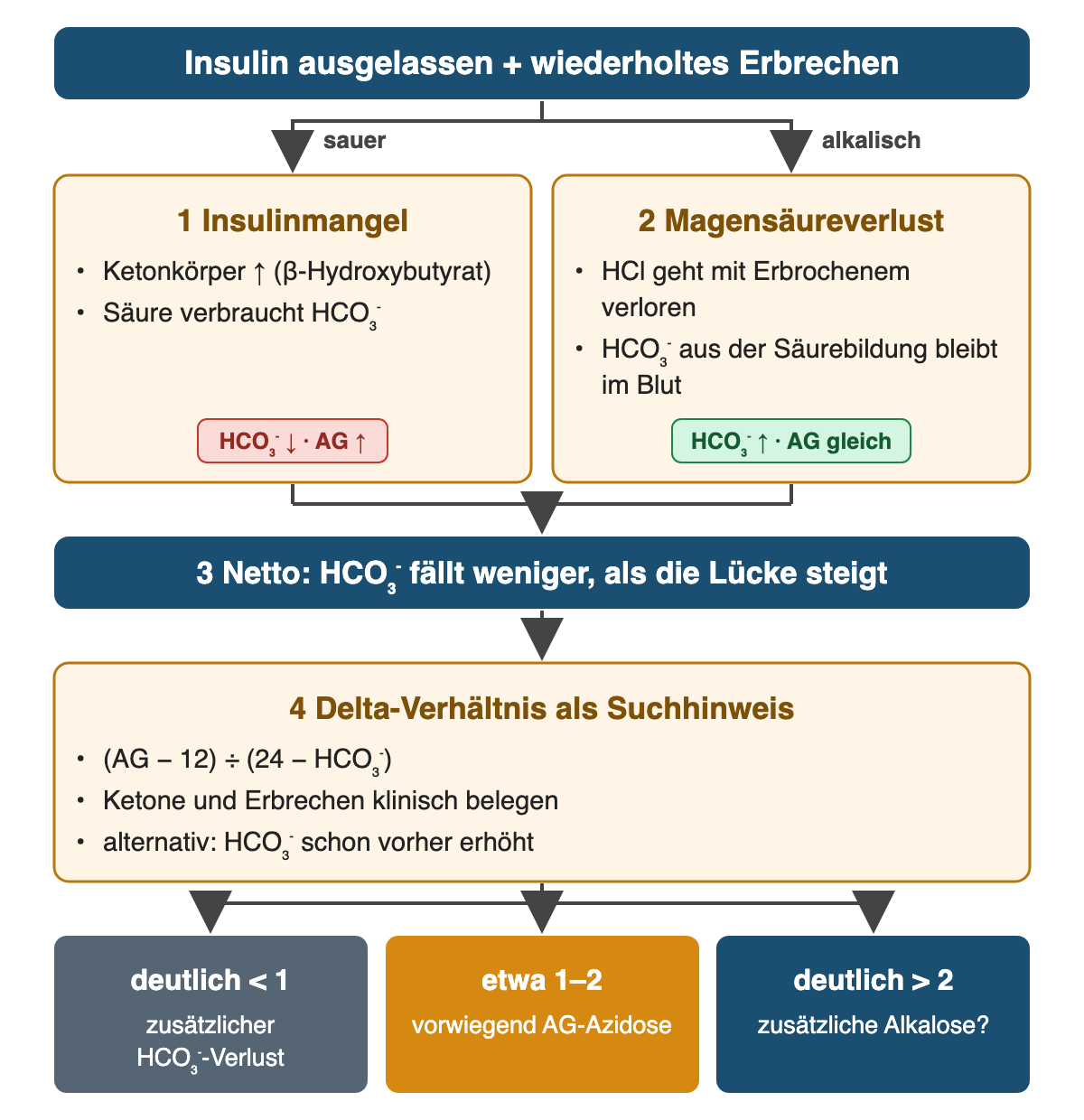 Oben: Insulin ausgelassen und wiederholtes Erbrechen. Zwei Zweige: sauer – 1 Insulinmangel, Ketonkörper (β-Hydroxybutyrat) steigen, Säure verbraucht HCO₃⁻, Etikett HCO₃⁻ sinkt und AG steigt; alkalisch – 2 Magensäureverlust, HCl geht mit dem Erbrochenen verloren, HCO₃⁻ aus der Säurebildung bleibt im Blut, Etikett HCO₃⁻ steigt und AG gleich. 3 Netto: HCO₃⁻ fällt weniger, als die Lücke steigt. 4 Delta-Verhältnis als Suchhinweis: (AG − 12) ÷ (24 − HCO₃⁻); Ketone und Erbrechen klinisch belegen; alternativ war HCO₃⁻ schon vorher erhöht. Ergebniszeile: deutlich unter 1 zusätzlicher HCO₃⁻-Verlust, etwa 1–2 vorwiegend AG-Azidose, deutlich über 2 zusätzliche Alkalose.