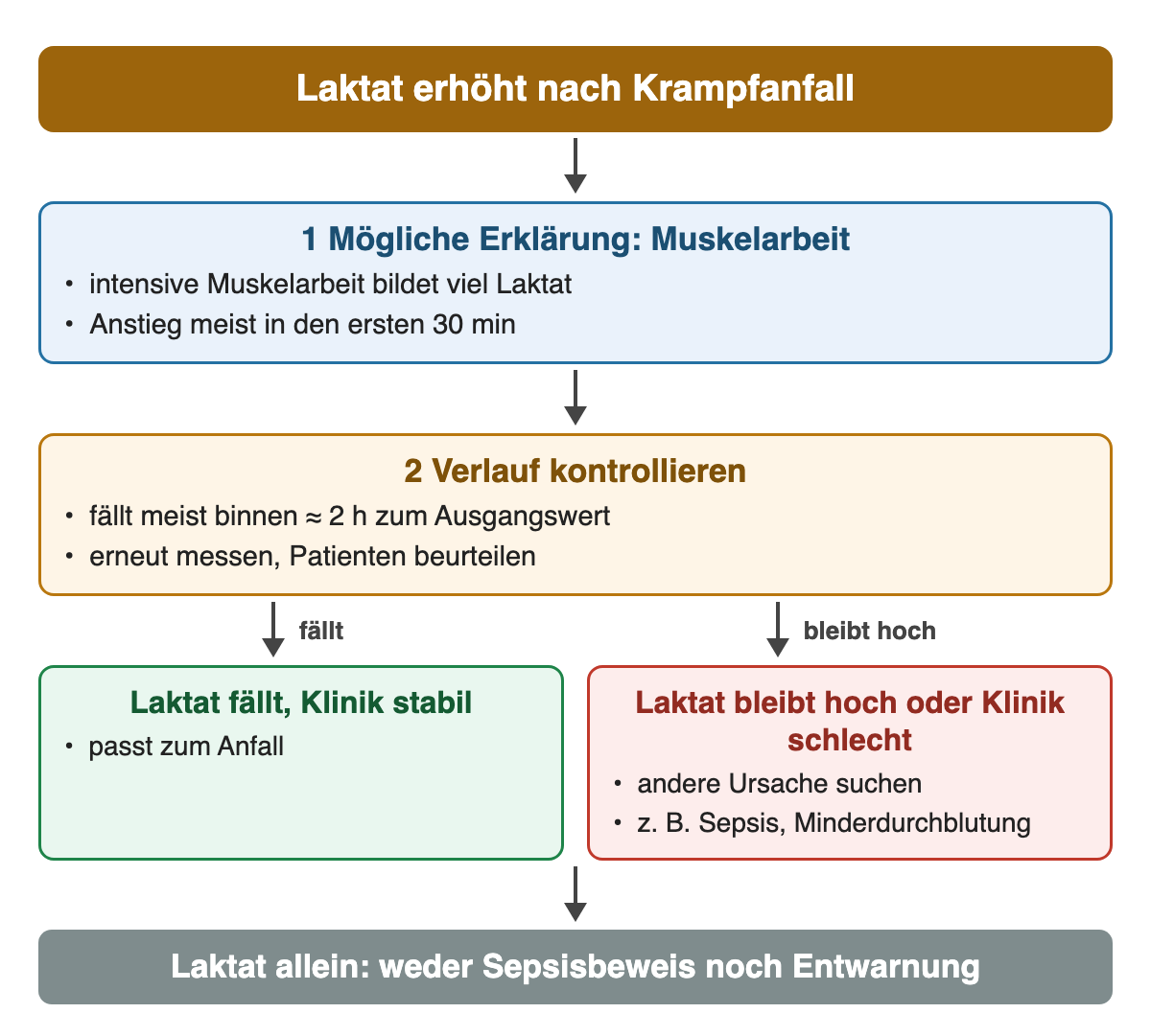 Laktat erhöht nach Krampfanfall: Muskelarbeit als mögliche Erklärung, Anstieg meist in den ersten 30 Minuten; Verlaufskontrolle, meist Rückgang binnen etwa 2 Stunden. Fällt Laktat bei stabiler Klinik, passt das zum Anfall; bleibt es hoch oder ist die Klinik schlecht, andere Ursache suchen.