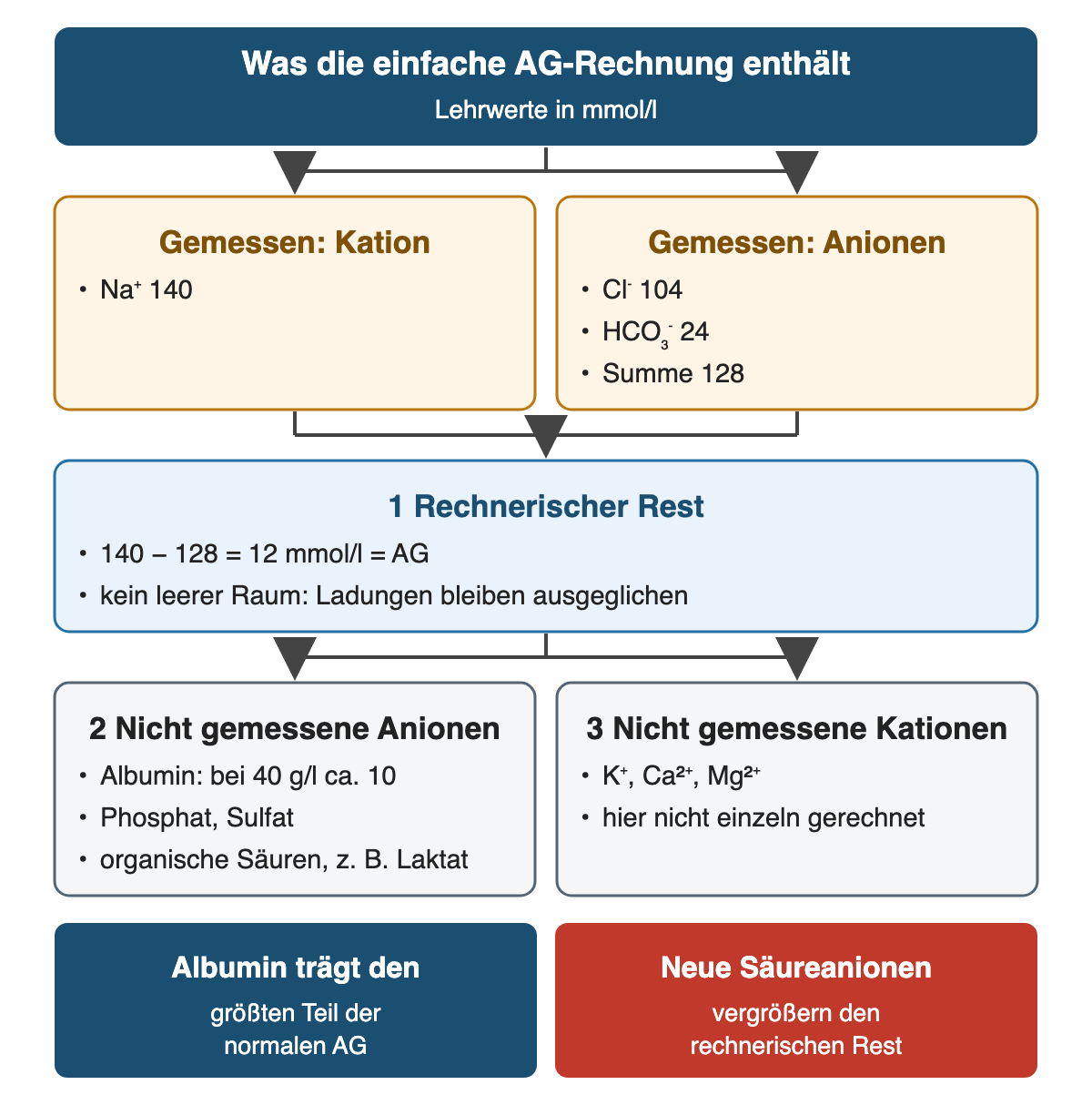 Von oben nach unten: Was die einfache AG-Rechnung enthält: Lehrwerte in mmol/l; Gemessen: Kation: Na⁺ 140; Gemessen: Anionen: Cl⁻ 104, HCO₃⁻ 24, Summe 128; 1 Rechnerischer Rest: 140 − 128 = 12 mmol/l = AG, kein leerer Raum: Ladungen bleiben ausgeglichen; 2 Nicht gemessene Anionen: Albumin: bei 40 g/l ca. 10, Phosphat, Sulfat, organische Säuren, z. B. Laktat; 3 Nicht gemessene Kationen: K⁺, Ca²⁺, Mg²⁺, hier nicht einzeln gerechnet; Ergebnis: Albumin trägt den – größten Teil der normalen AG; Neue Säureanionen – vergrößern den rechnerischen Rest.