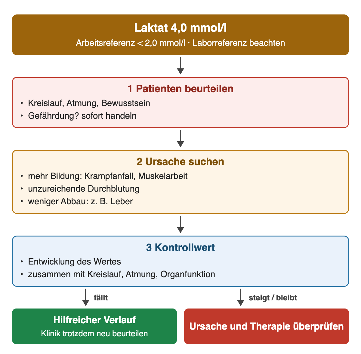 Laktat 4,0 mmol/l bei einer Arbeitsreferenz unter 2,0: 1 Patienten beurteilen, 2 Ursache suchen (mehr Bildung, Minderdurchblutung, weniger Abbau), 3 Kontrollwert. Fällt er: hilfreich, Klinik trotzdem neu beurteilen; steigt oder bleibt er: Ursache und Therapie überprüfen.