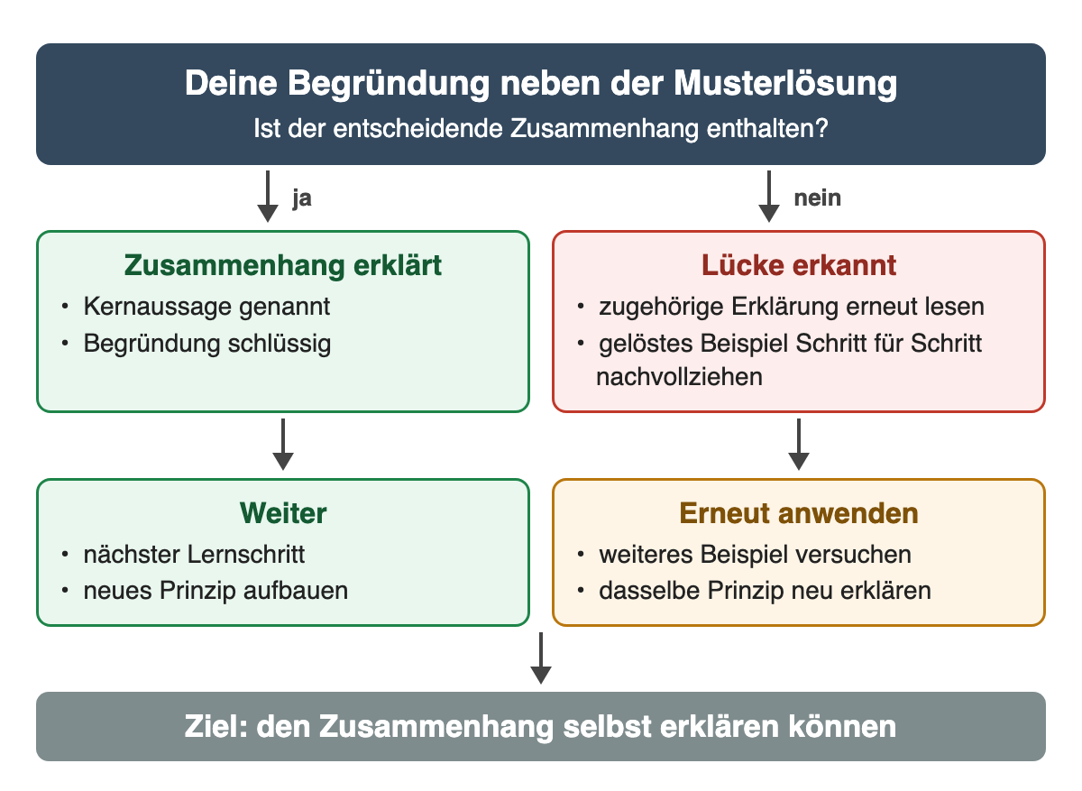 Entscheidung nach dem Selbstvergleich: Ist der entscheidende Zusammenhang enthalten? Bei ja weiter zum nächsten Lernschritt; bei nein die Erklärung erneut lesen, das Beispiel nachvollziehen und ein weiteres Beispiel versuchen.