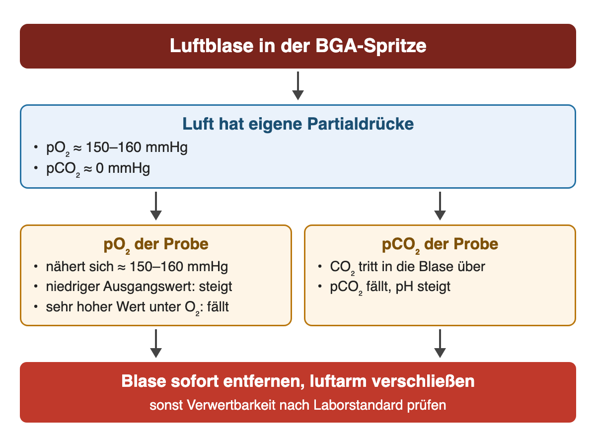 Luftblase: Luft hat einen pO₂ von etwa 150–160 mmHg und einen pCO₂ von etwa 0 mmHg. Der pO₂ der Probe nähert sich diesem Wert, steigt also bei niedrigem und fällt bei sehr hohem Ausgangswert; pCO₂ fällt, pH steigt. Blase sofort entfernen oder Verwertbarkeit prüfen.