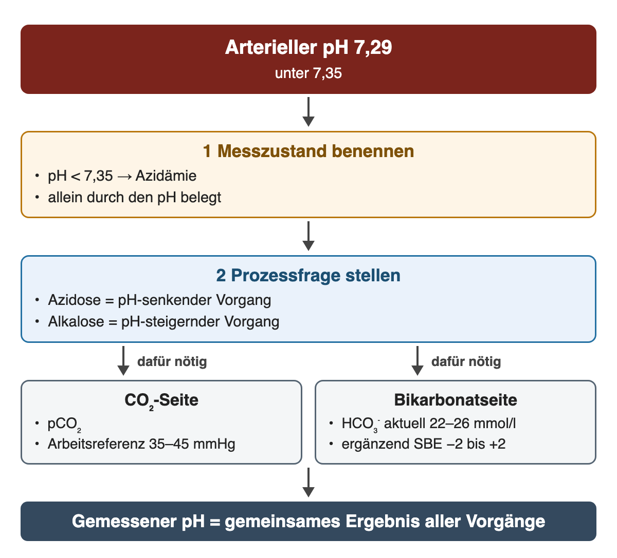 pH 7,29: 1 Messzustand Azidämie, allein durch den pH belegt; 2 Prozessfrage Azidose oder Alkalose. Dafür nötig: CO₂-Seite (pCO₂, Arbeitsreferenz 35–45 mmHg) und Bikarbonatseite (HCO₃⁻ aktuell 22–26 mmol/l, ergänzend SBE −2 bis +2). Der pH ist das gemeinsame Ergebnis aller Vorgänge.