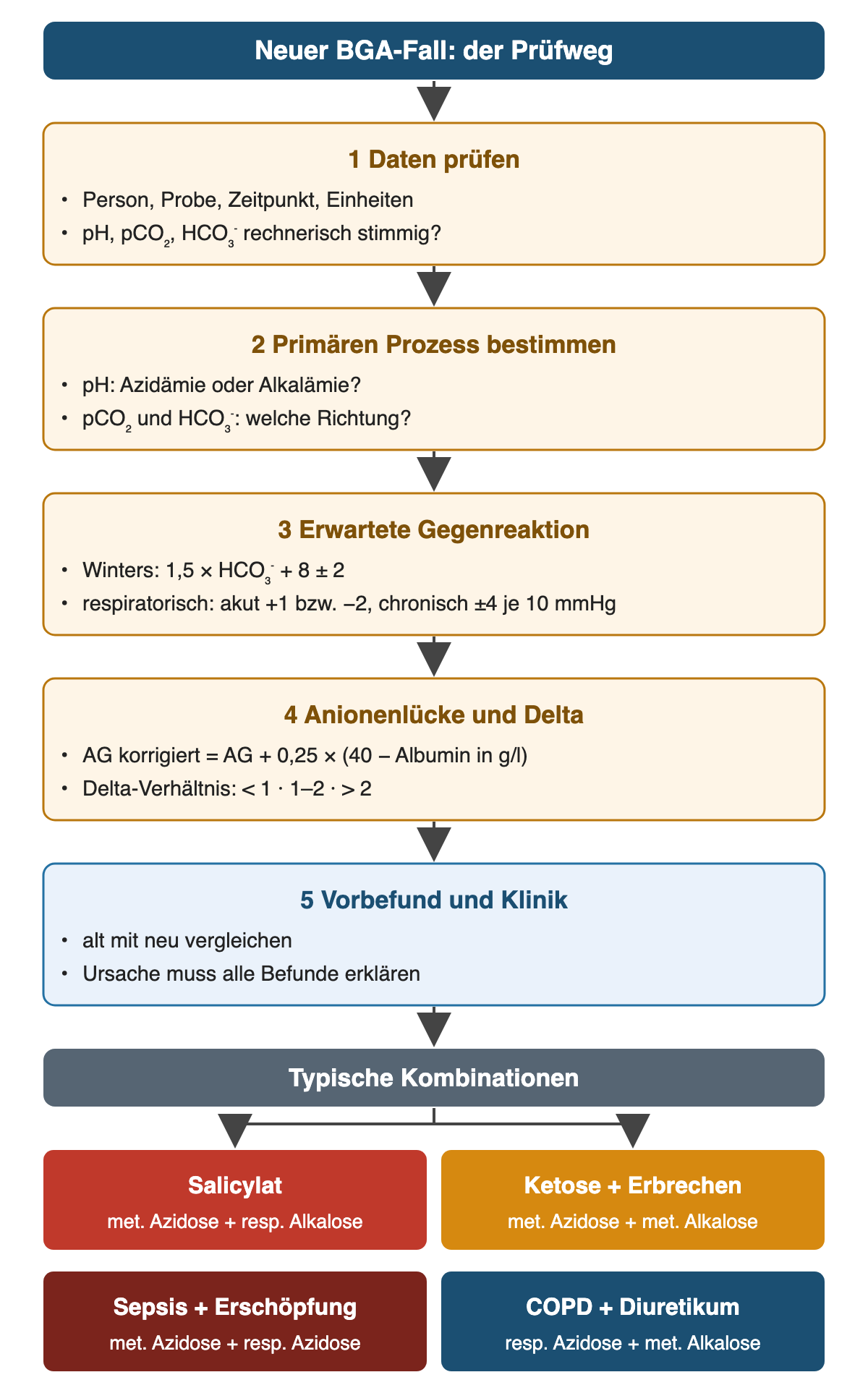 Oben: Neuer BGA-Fall, der Prüfweg. 1 Daten prüfen: Person, Probe, Zeitpunkt, Einheiten; pH, pCO₂ und HCO₃⁻ rechnerisch stimmig? 2 Primären Prozess bestimmen: Azidämie oder Alkalämie, Richtung von pCO₂ und HCO₃⁻. 3 Erwartete Gegenreaktion: Winters 1,5 × HCO₃⁻ + 8 ± 2; respiratorisch akut +1 beziehungsweise −2, chronisch ±4 je 10 mmHg. 4 Anionenlücke und Delta: AG korrigiert = AG + 0,25 × (40 − Albumin in g/l); Delta-Verhältnis unter 1, 1–2, über 2. 5 Vorbefund und Klinik: alt mit neu vergleichen, die Ursache muss alle Befunde erklären. Typische Kombinationen: Salicylat – metabolische Azidose plus respiratorische Alkalose; Ketose plus Erbrechen – metabolische Azidose plus metabolische Alkalose; Sepsis plus Erschöpfung – metabolische plus respiratorische Azidose; COPD plus Diuretikum – respiratorische Azidose plus metabolische Alkalose.