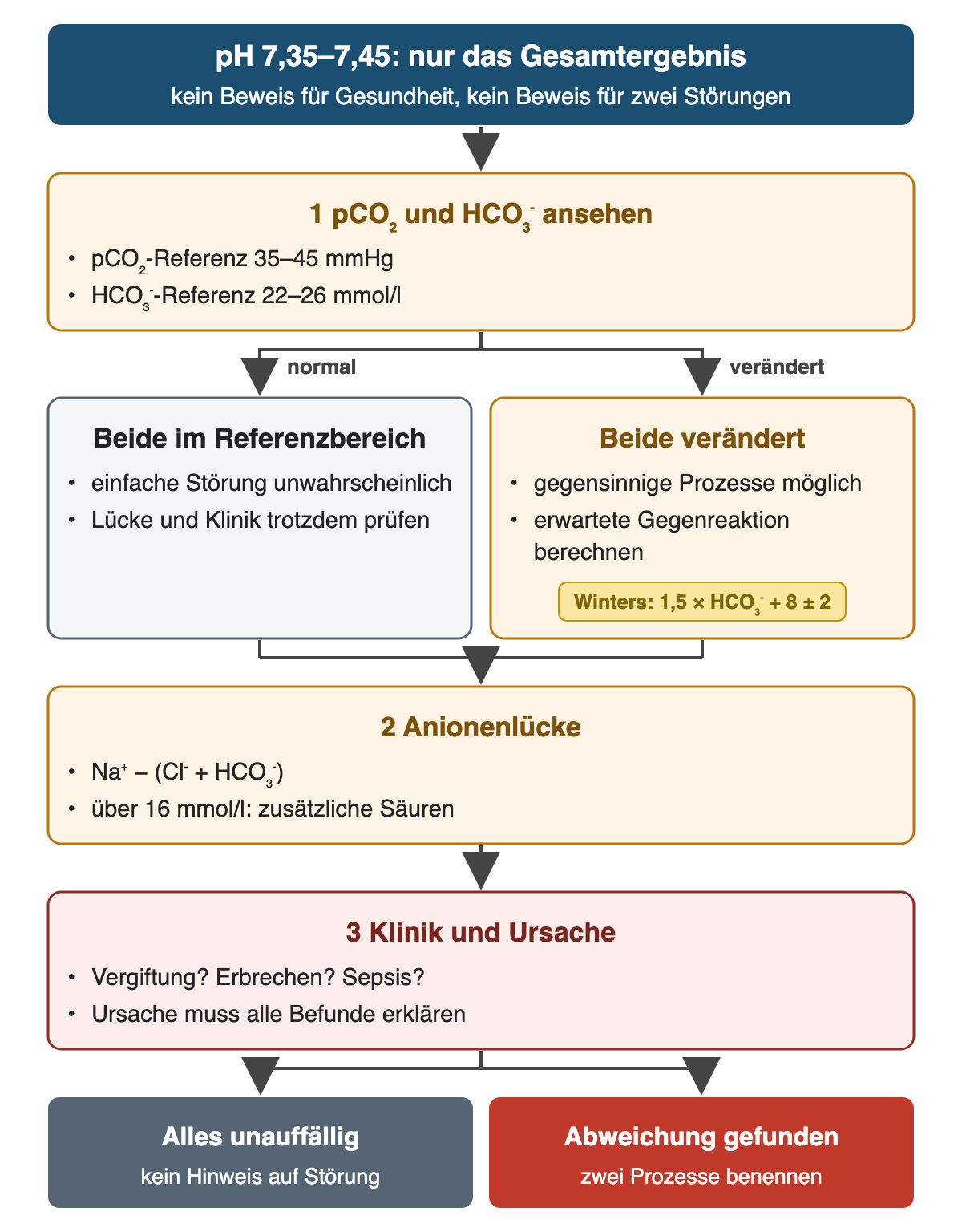 Oben: pH 7,35–7,45 ist nur das Gesamtergebnis, kein Beweis für Gesundheit und kein Beweis für zwei Störungen. 1 pCO₂ und HCO₃⁻ ansehen (Referenz 35–45 mmHg und 22–26 mmol/l). Zwei Zweige: beide normal – einfache Störung unwahrscheinlich, Lücke und Klinik trotzdem prüfen; beide verändert – gegensinnige Prozesse möglich, erwartete Gegenreaktion berechnen, Etikett Winters 1,5 × HCO₃⁻ + 8 ± 2. 2 Anionenlücke Na⁺ − (Cl⁻ + HCO₃⁻), über 16 mmol/l zusätzliche Säuren. 3 Klinik und Ursache: Vergiftung, Erbrechen, Sepsis. Ergebnis: alles unauffällig – kein Hinweis auf Störung; Abweichung – zwei Prozesse benennen.