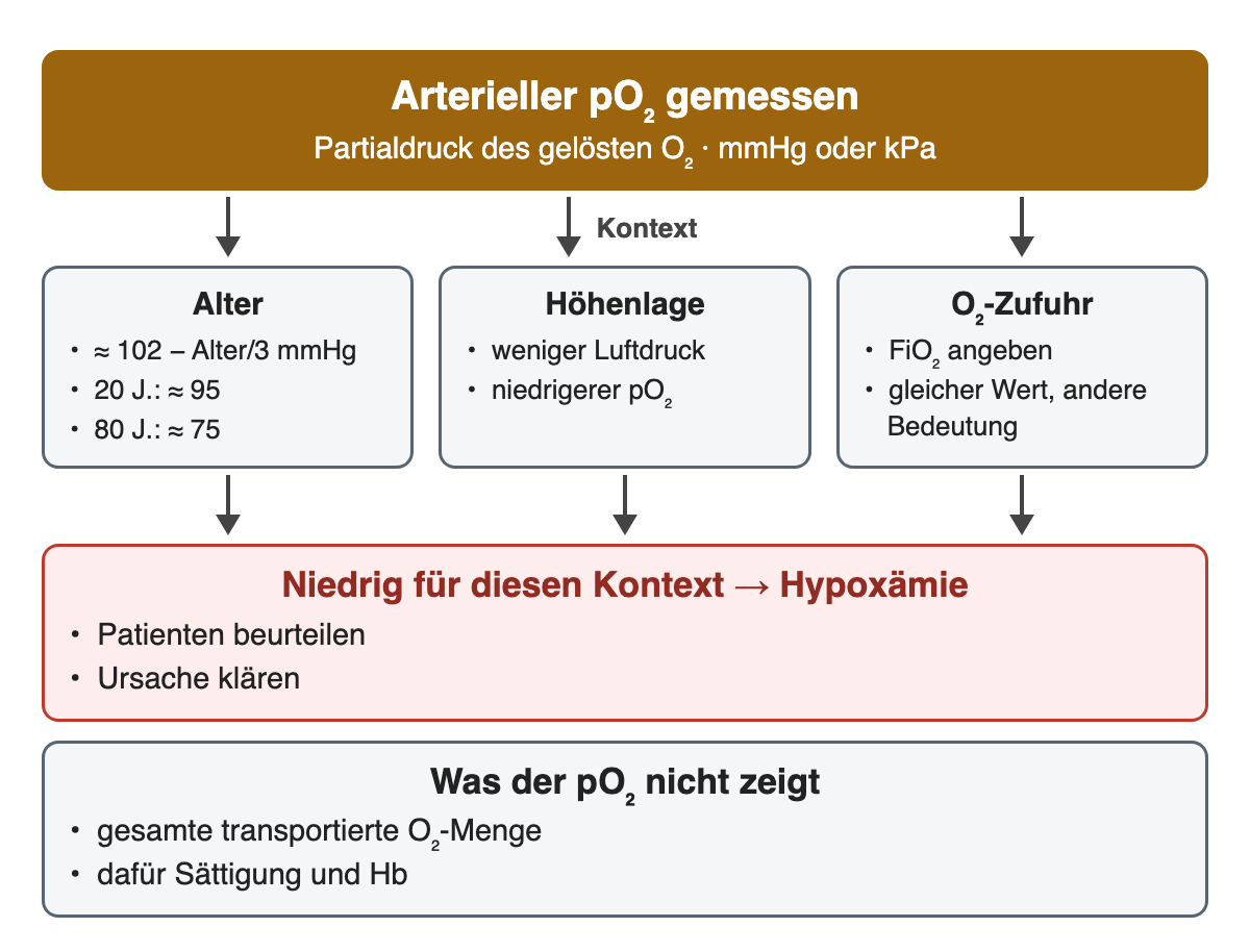 Arterieller pO₂ im Kontext: Alter (etwa 102 − Alter/3 mmHg, mit 20 Jahren etwa 95, mit 80 Jahren etwa 75), Höhenlage und O₂-Zufuhr. Ist er für diesen Kontext niedrig, liegt eine Hypoxämie vor. Der pO₂ zeigt nicht die gesamte transportierte O₂-Menge.