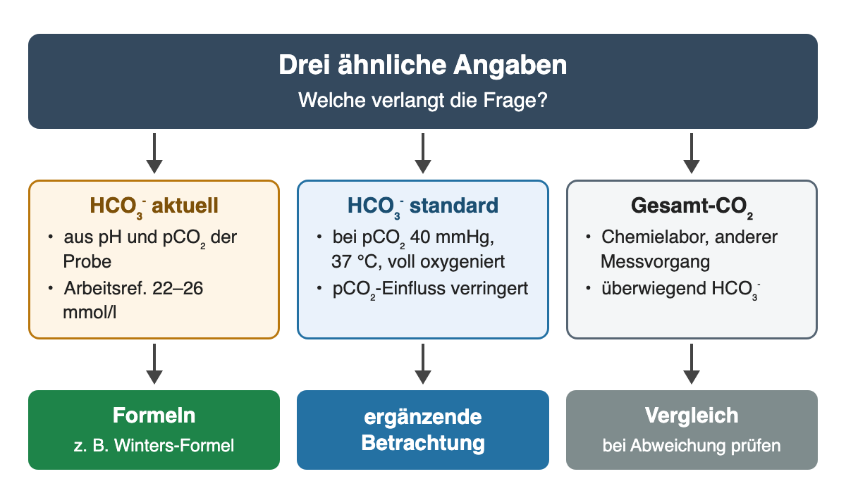 Drei ähnliche Angaben: HCO₃⁻ aktuell aus pH und pCO₂ (22–26 mmol/l) für Formeln wie die Winters-Formel; HCO₃⁻ standard bei pCO₂ 40 mmHg, 37 °C und vollständiger Oxygenierung zur ergänzenden Betrachtung; Gesamt-CO₂ aus dem Chemielabor zum Vergleich.