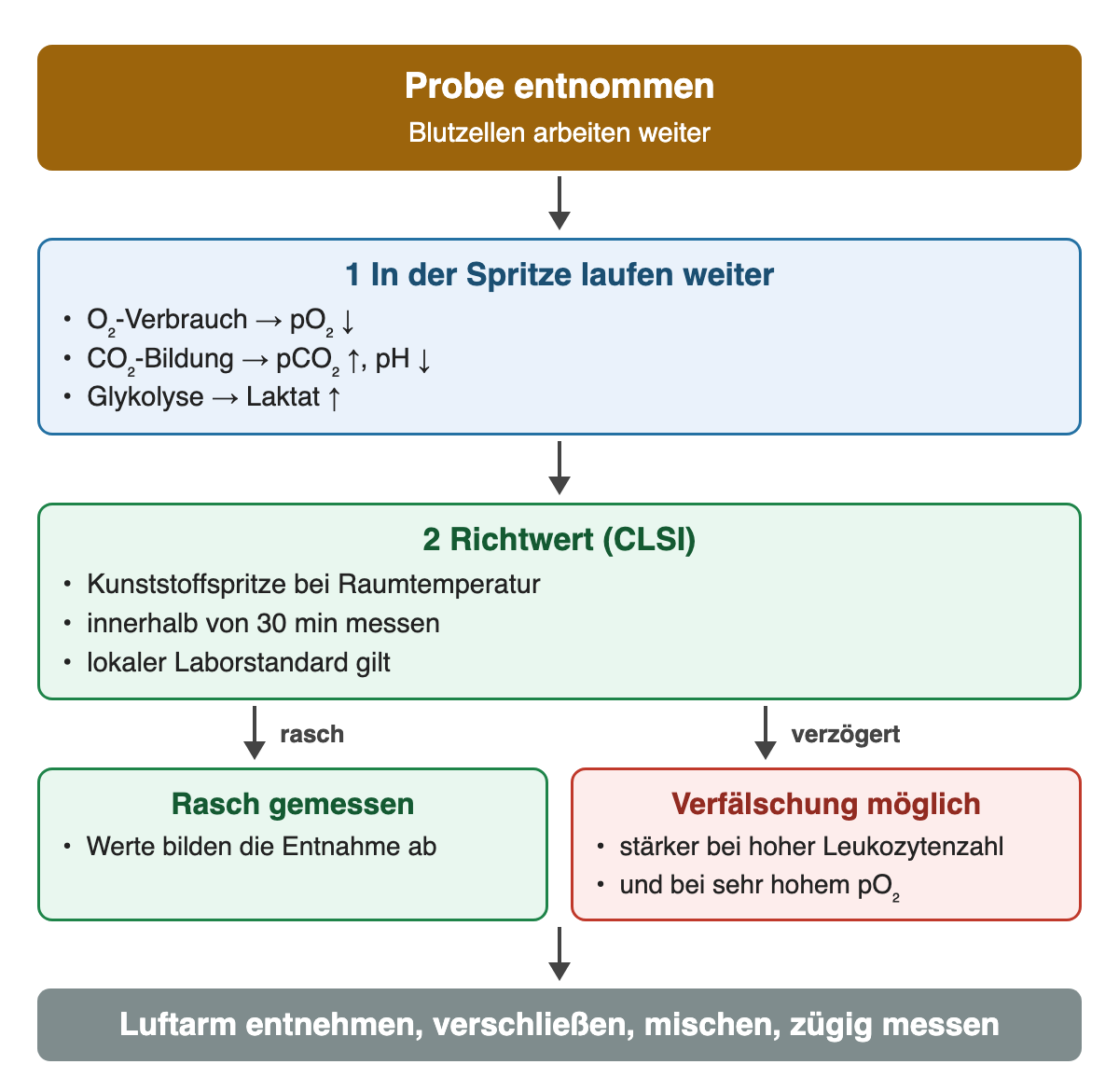 Nach der Entnahme: O₂-Verbrauch senkt den pO₂, CO₂-Bildung erhöht den pCO₂ und senkt den pH, Glykolyse erhöht Laktat. Richtwert nach CLSI: Kunststoffspritze bei Raumtemperatur innerhalb von 30 Minuten messen, der lokale Standard gilt. Verzögerung verfälscht stärker bei hoher Leukozytenzahl und sehr hohem pO₂.