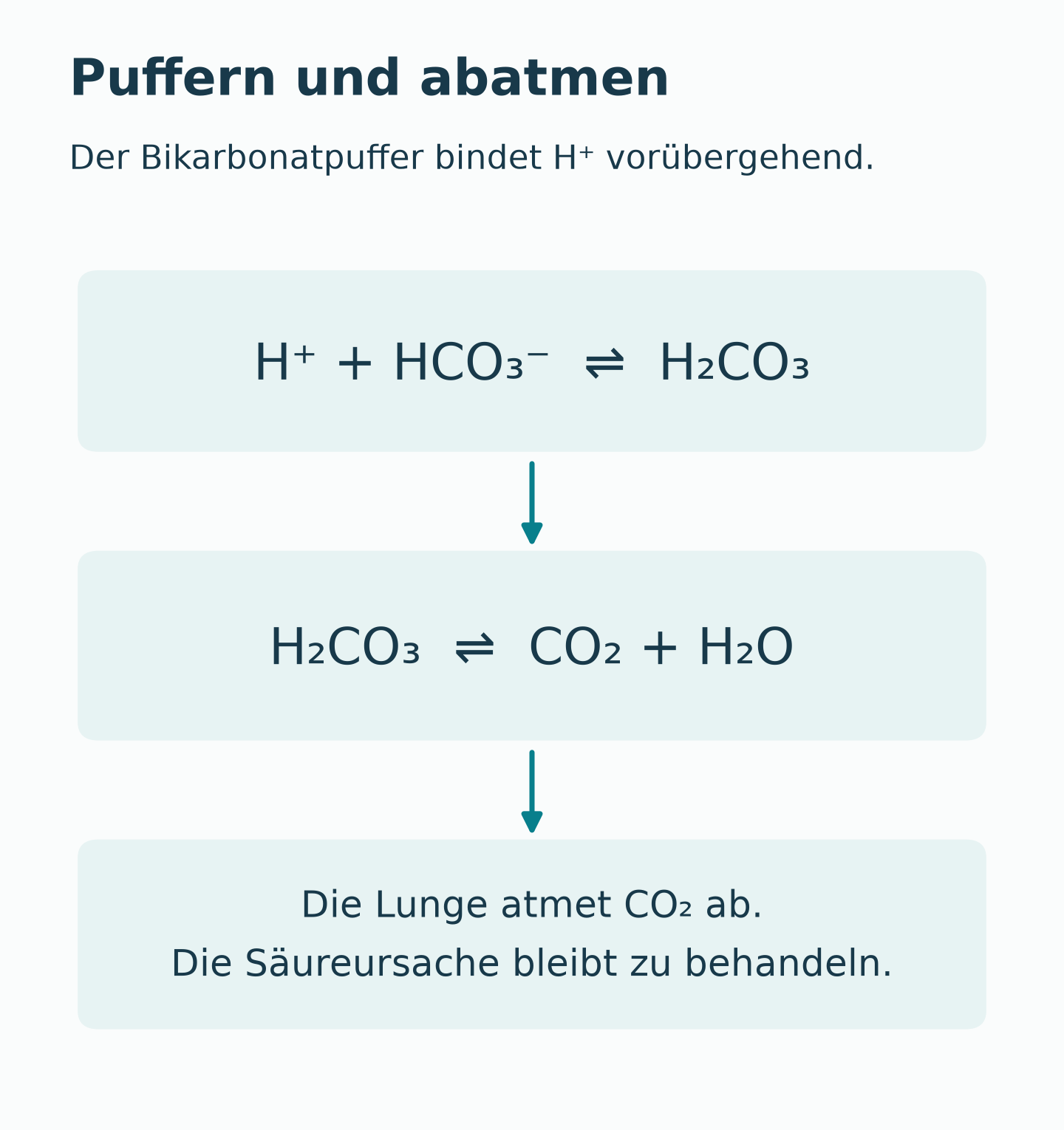 H⁺ und Bikarbonat stehen über Kohlensäure mit CO₂ und Wasser im Gleichgewicht. Die Lunge kann das entstehende CO₂ entfernen.