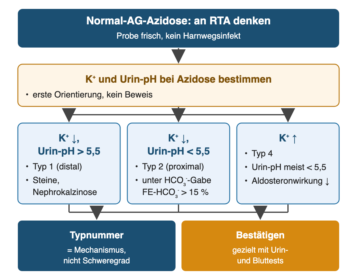 Von oben nach unten: Normal-AG-Azidose: an RTA denken: Probe frisch, kein Harnwegsinfekt; K⁺ und Urin-pH bei Azidose bestimmen: erste Orientierung, kein Beweis; K⁺ ↓, Urin-pH > 5,5: Typ 1 (distal), Steine, Nephrokalzinose; K⁺ ↓, Urin-pH < 5,5: Typ 2 (proximal), unter HCO₃⁻-Gabe FE-HCO₃⁻ > 15 %; K⁺ ↑: Typ 4, Urin-pH meist < 5,5, Aldosteronwirkung ↓; Ergebnis: Typnummer – = Mechanismus, nicht Schweregrad; Bestätigen – gezielt mit Urin- und Bluttests.