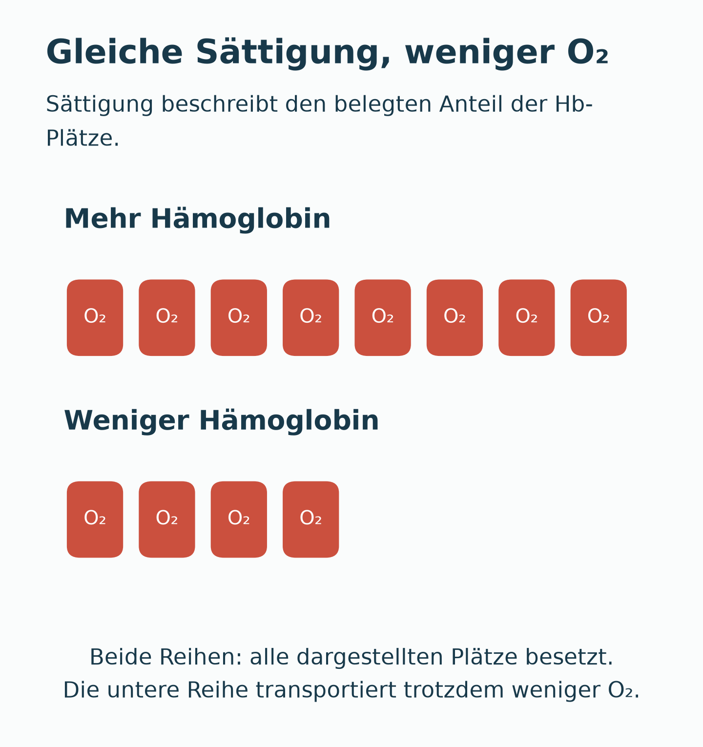 Zwei Reihen zeigen vollständig mit O₂ belegte Hämoglobinplätze: oben acht, unten vier. Beide Reihen haben denselben belegten Anteil, aber unterschiedlich viele Träger.