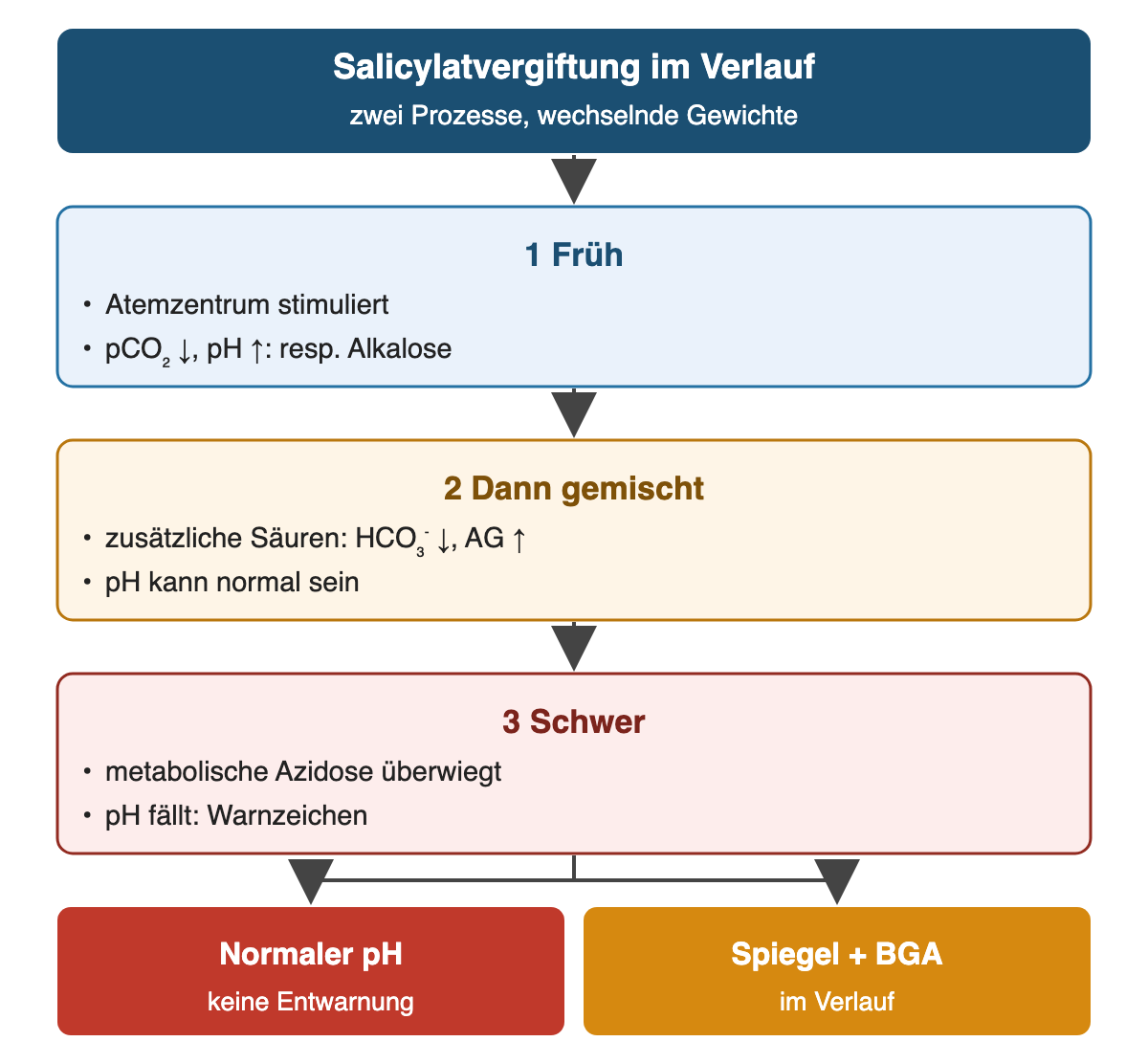 Von oben nach unten: Salicylatvergiftung im Verlauf: zwei Prozesse, wechselnde Gewichte; Früh: Atemzentrum stimuliert, pCO₂ ↓, pH ↑: resp. Alkalose; Dann gemischt: zusätzliche Säuren: HCO₃⁻ ↓, AG ↑, pH kann normal sein; Schwer: metabolische Azidose überwiegt, pH fällt: Warnzeichen; Ergebnis: Normaler pH – keine Entwarnung; Spiegel + BGA – im Verlauf.