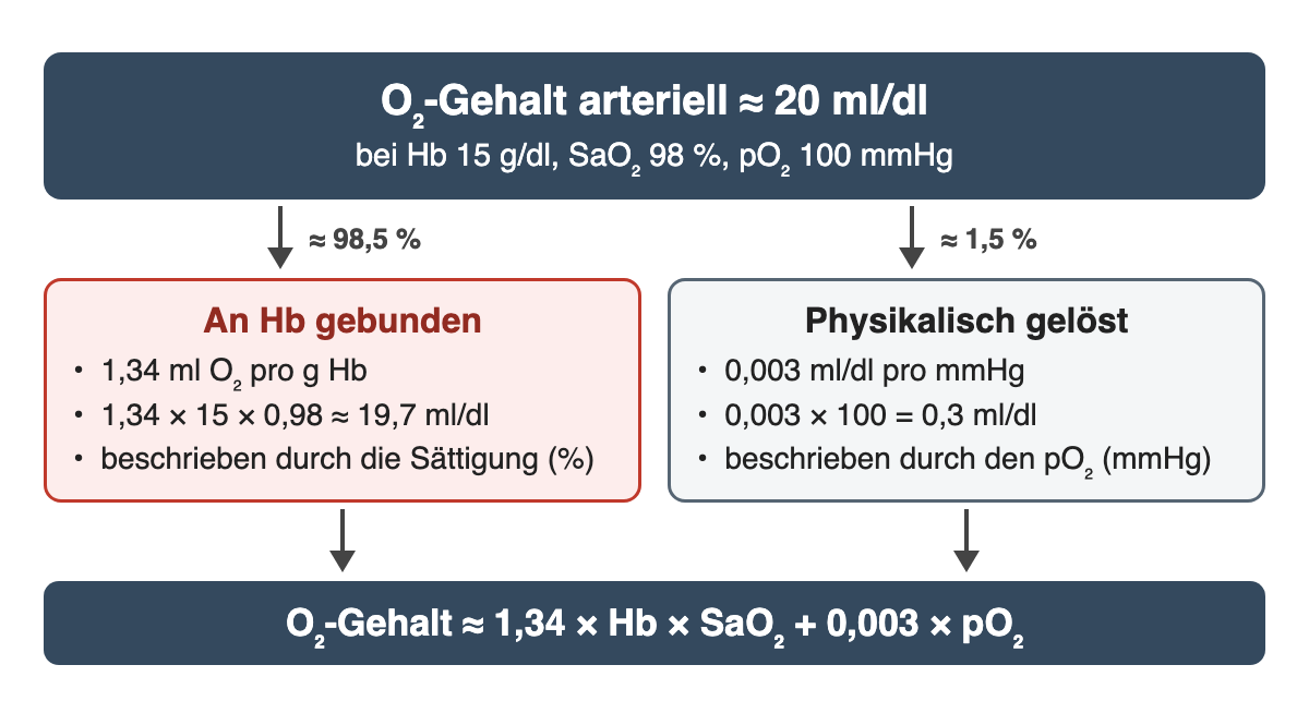 O₂-Gehalt arteriell etwa 20 ml/dl bei Hb 15 g/dl, SaO₂ 98 % und pO₂ 100 mmHg: an Hb gebunden 1,34 × 15 × 0,98 ≈ 19,7 ml/dl, beschrieben durch die Sättigung; physikalisch gelöst 0,003 × 100 = 0,3 ml/dl, beschrieben durch den pO₂. Formel: O₂-Gehalt ≈ 1,34 × Hb × SaO₂ + 0,003 × pO₂.