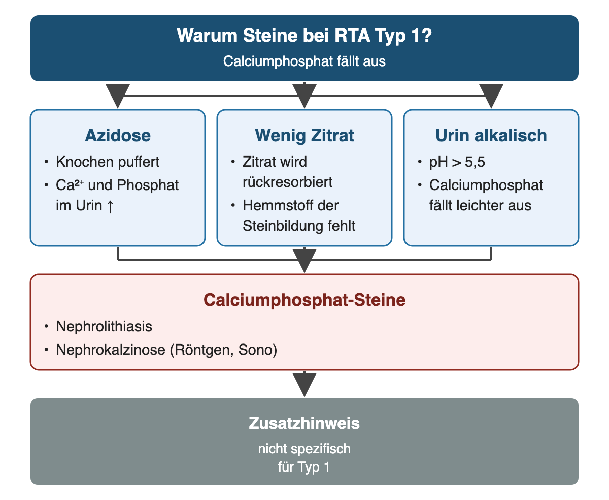 Von oben nach unten: Warum Steine bei RTA Typ 1?: Calciumphosphat fällt aus; Azidose: Knochen puffert, Ca²⁺ und Phosphat im Urin ↑; Wenig Zitrat: Zitrat wird rückresorbiert, Hemmstoff der Steinbildung fehlt; Urin alkalisch: pH > 5,5, Calciumphosphat fällt leichter aus; Calciumphosphat-Steine: Nephrolithiasis, Nephrokalzinose (Röntgen, Sono); Ergebnis: Zusatzhinweis – nicht spezifisch für Typ 1.