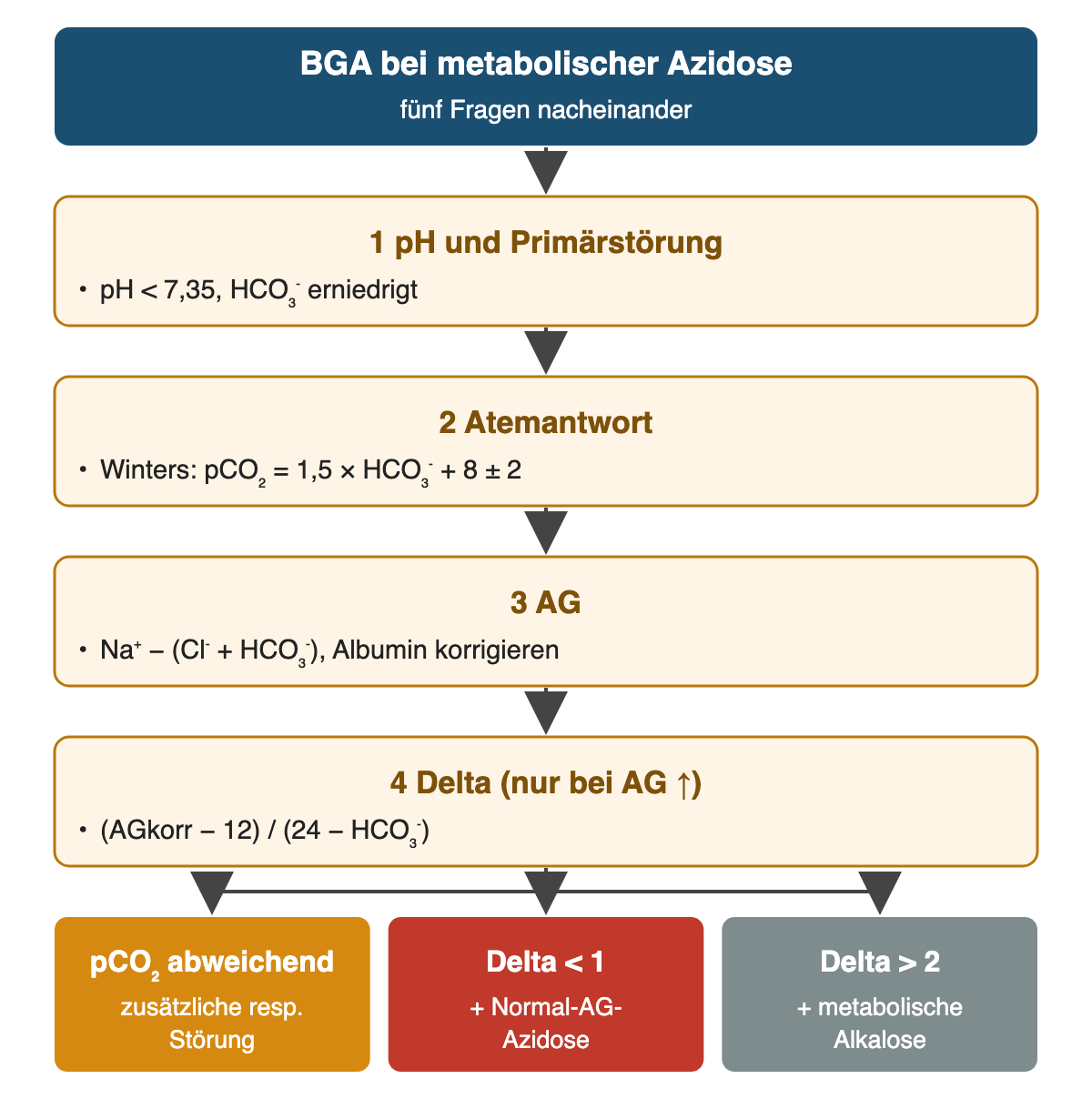 Von oben nach unten: BGA bei metabolischer Azidose: fünf Fragen nacheinander; pH und Primärstörung: pH < 7,35, HCO₃⁻ erniedrigt; Atemantwort: Winters: pCO₂ = 1,5 × HCO₃⁻ + 8 ± 2; AG: Na⁺ − (Cl⁻ + HCO₃⁻), Albumin korrigieren; Delta (nur bei AG ↑): (AGkorr − 12) / (24 − HCO₃⁻); Ergebnis: pCO₂ abweichend – zusätzliche resp. Störung; Delta < 1 – + Normal-AG-Azidose; Delta > 2 – + metabolische Alkalose.
