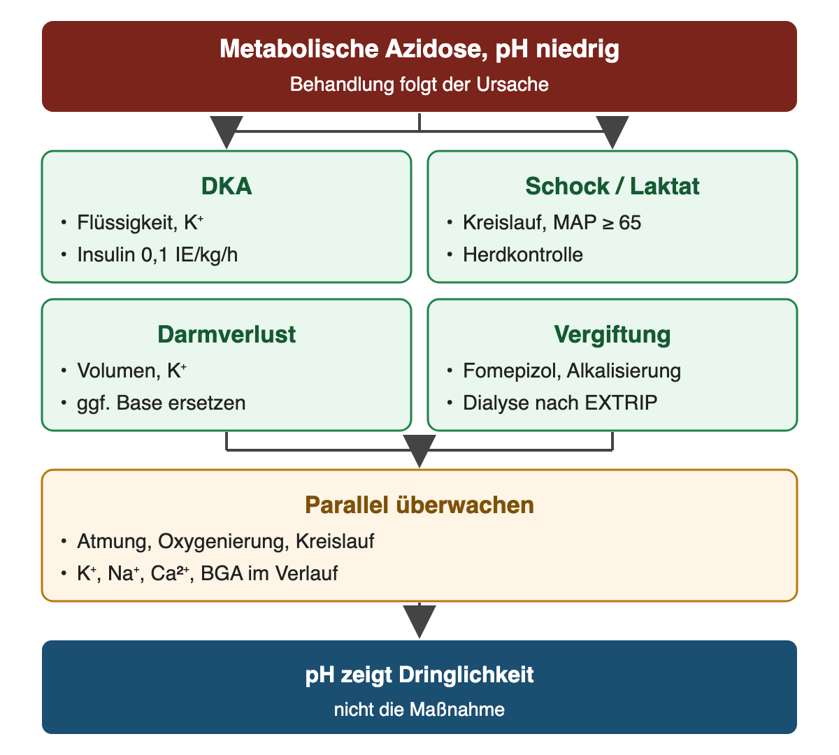 Von oben nach unten: Metabolische Azidose, pH niedrig: Behandlung folgt der Ursache; DKA: Flüssigkeit, K⁺, Insulin 0,1 IE/kg/h; Schock / Laktat: Kreislauf, MAP ≥ 65, Herdkontrolle; Darmverlust: Volumen, K⁺, ggf. Base ersetzen; Vergiftung: Fomepizol, Alkalisierung, Dialyse nach EXTRIP; Parallel überwachen: Atmung, Oxygenierung, Kreislauf, K⁺, Na⁺, Ca²⁺, BGA im Verlauf; Ergebnis: pH zeigt Dringlichkeit – nicht die Maßnahme.