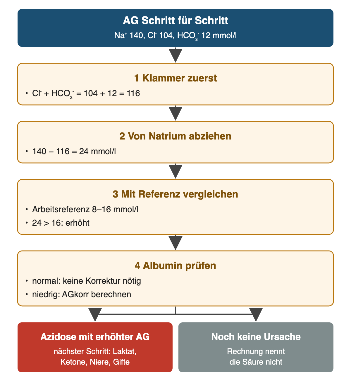 Von oben nach unten: AG Schritt für Schritt: Na⁺ 140, Cl⁻ 104, HCO₃⁻ 12 mmol/l; Klammer zuerst: Cl⁻ + HCO₃⁻ = 104 + 12 = 116; Von Natrium abziehen: 140 − 116 = 24 mmol/l; Mit Referenz vergleichen: Arbeitsreferenz 8–16 mmol/l, 24 > 16: erhöht; Albumin prüfen: normal: keine Korrektur nötig, niedrig: AGkorr berechnen; Ergebnis: Azidose mit erhöhter AG – nächster Schritt: Laktat, Ketone, Niere, Gifte; Noch keine Ursache – Rechnung nennt die Säure nicht.