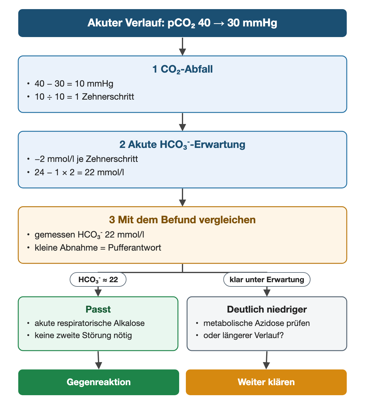 Von oben nach unten. Oben: Akuter Verlauf: pCO₂ 40 → 30 mmHg. 1 CO₂-Abfall: 40 − 30 = 10 mmHg, 10 ÷ 10 = 1 Zehnerschritt. 2 Akute HCO₃⁻-Erwartung: −2 mmol/l je Zehnerschritt, 24 − 1 × 2 = 22 mmol/l. 3 Mit dem Befund vergleichen: gemessen HCO₃⁻ 22 mmol/l, kleine Abnahme = Pufferantwort. Nebeneinander: HCO₃⁻ ≈ 22 → Passt: akute respiratorische Alkalose, keine zweite Störung nötig | klar unter Erwartung → Deutlich niedriger: metabolische Azidose prüfen, oder längerer Verlauf?. Ergebnis: Gegenreaktion | Weiter klären.