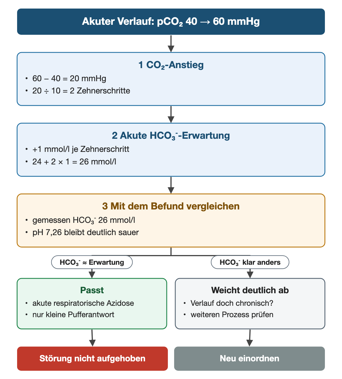 Von oben nach unten. Oben: Akuter Verlauf: pCO₂ 40 → 60 mmHg. 1 CO₂-Anstieg: 60 − 40 = 20 mmHg, 20 ÷ 10 = 2 Zehnerschritte. 2 Akute HCO₃⁻-Erwartung: +1 mmol/l je Zehnerschritt, 24 + 2 × 1 = 26 mmol/l. 3 Mit dem Befund vergleichen: gemessen HCO₃⁻ 26 mmol/l, pH 7,26 bleibt deutlich sauer. Nebeneinander: HCO₃⁻ ≈ Erwartung → Passt: akute respiratorische Azidose, nur kleine Pufferantwort | HCO₃⁻ klar anders → Weicht deutlich ab: Verlauf doch chronisch?, weiteren Prozess prüfen. Ergebnis: Störung nicht aufgehoben | Neu einordnen.
