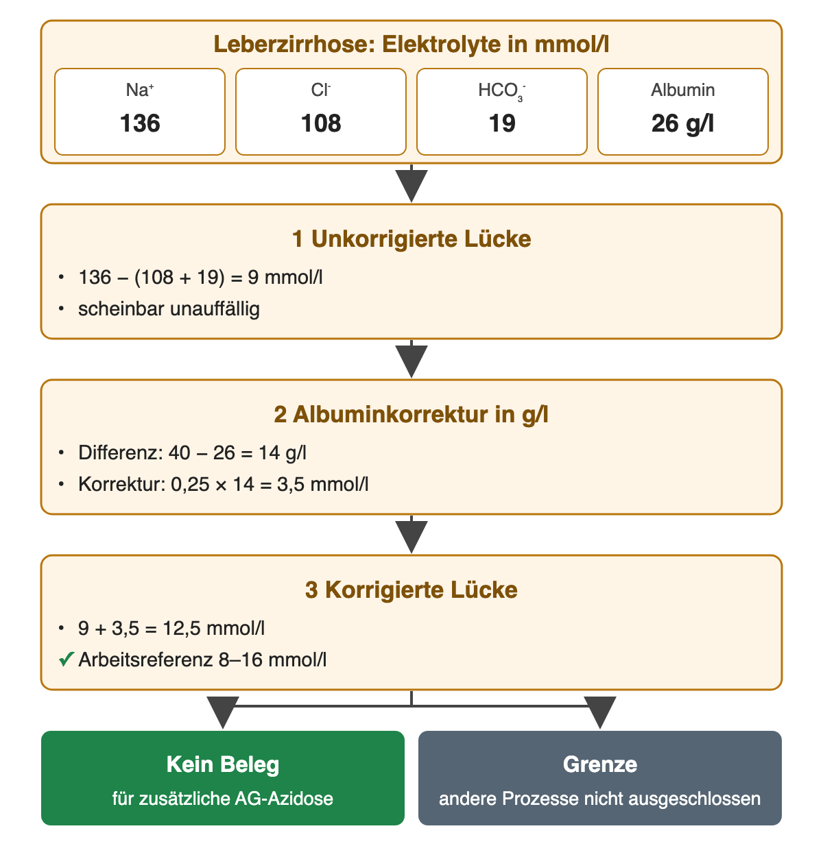 Oben die Falldaten: Na⁺ 136, Cl⁻ 108, HCO₃⁻ 19 mmol/l, Albumin 26 g/l. 1 Unkorrigierte Lücke: 136 − (108 + 19) = 9 mmol/l, scheinbar unauffällig. 2 Albuminkorrektur in g/l: 40 − 26 = 14 g/l; 0,25 × 14 = 3,5 mmol/l. 3 Korrigierte Lücke: 9 + 3,5 = 12,5 mmol/l, innerhalb der Arbeitsreferenz 8–16 mmol/l. Ergebnis: kein Beleg für eine zusätzliche AG-Azidose; andere Prozesse nicht ausgeschlossen.
