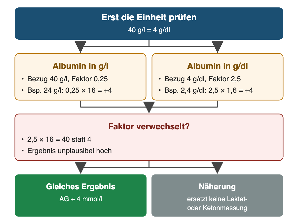 Von oben nach unten: Erst die Einheit prüfen: 40 g/l = 4 g/dl; Albumin in g/l: Bezug 40 g/l, Faktor 0,25, Bsp. 24 g/l: 0,25 × 16 = +4; Albumin in g/dl: Bezug 4 g/dl, Faktor 2,5, Bsp. 2,4 g/dl: 2,5 × 1,6 = +4; Faktor verwechselt?: 2,5 × 16 = 40 statt 4, Ergebnis unplausibel hoch; Ergebnis: Gleiches Ergebnis – AG + 4 mmol/l; Näherung – ersetzt keine Laktat- oder Ketonmessung.
