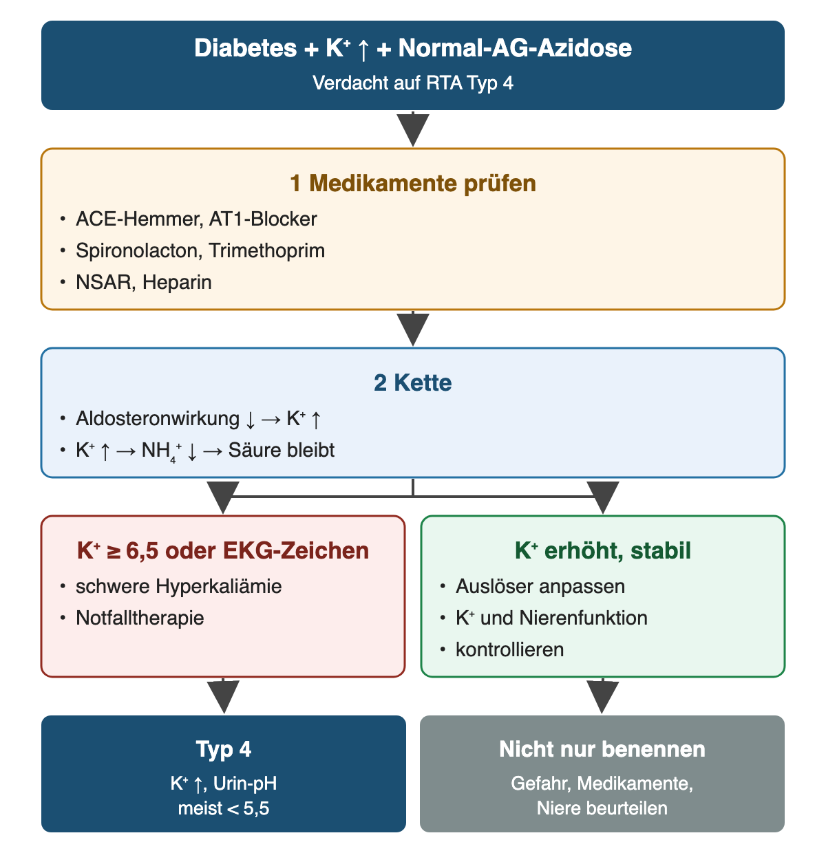 Von oben nach unten: Diabetes + K⁺ ↑ + Normal-AG-Azidose: Verdacht auf RTA Typ 4; Medikamente prüfen: ACE-Hemmer, AT1-Blocker, Spironolacton, Trimethoprim, NSAR, Heparin; Kette: Aldosteronwirkung ↓ → K⁺ ↑, K⁺ ↑ → NH₄⁺ ↓ → Säure bleibt; K⁺ ≥ 6,5 oder EKG-Zeichen: schwere Hyperkaliämie, Notfalltherapie; K⁺ erhöht, stabil: Auslöser anpassen, K⁺ und Nierenfunktion, kontrollieren; Ergebnis: Typ 4 – K⁺ ↑, Urin-pH meist < 5,5; Nicht nur benennen – Gefahr, Medikamente, Niere beurteilen.