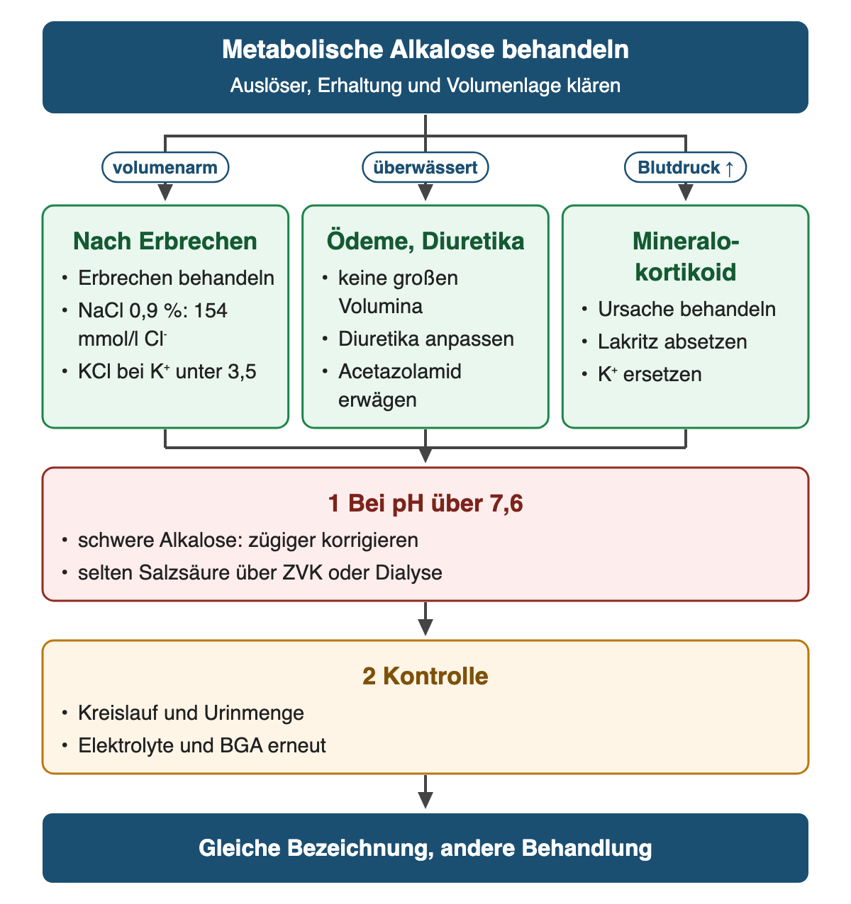 Von oben nach unten: Metabolische Alkalose behandeln (Auslöser, Erhaltung und Volumenlage klären). Wenn volumenarm: Nach Erbrechen: Erbrechen behandeln; NaCl 0,9 %: 154 mmol/l Cl⁻; KCl bei K⁺ unter 3,5. Wenn überwässert: Ödeme, Diuretika: keine großen Volumina; Diuretika anpassen; Acetazolamid erwägen. Wenn Blutdruck ↑: Mineralokortikoid: Ursache behandeln; Lakritz absetzen; K⁺ ersetzen. 1 Bei pH über 7,6: schwere Alkalose: zügiger korrigieren; selten Salzsäure über ZVK oder Dialyse. 2 Kontrolle: Kreislauf und Urinmenge; Elektrolyte und BGA erneut. Ergebnis: Gleiche Bezeichnung, andere Behandlung.