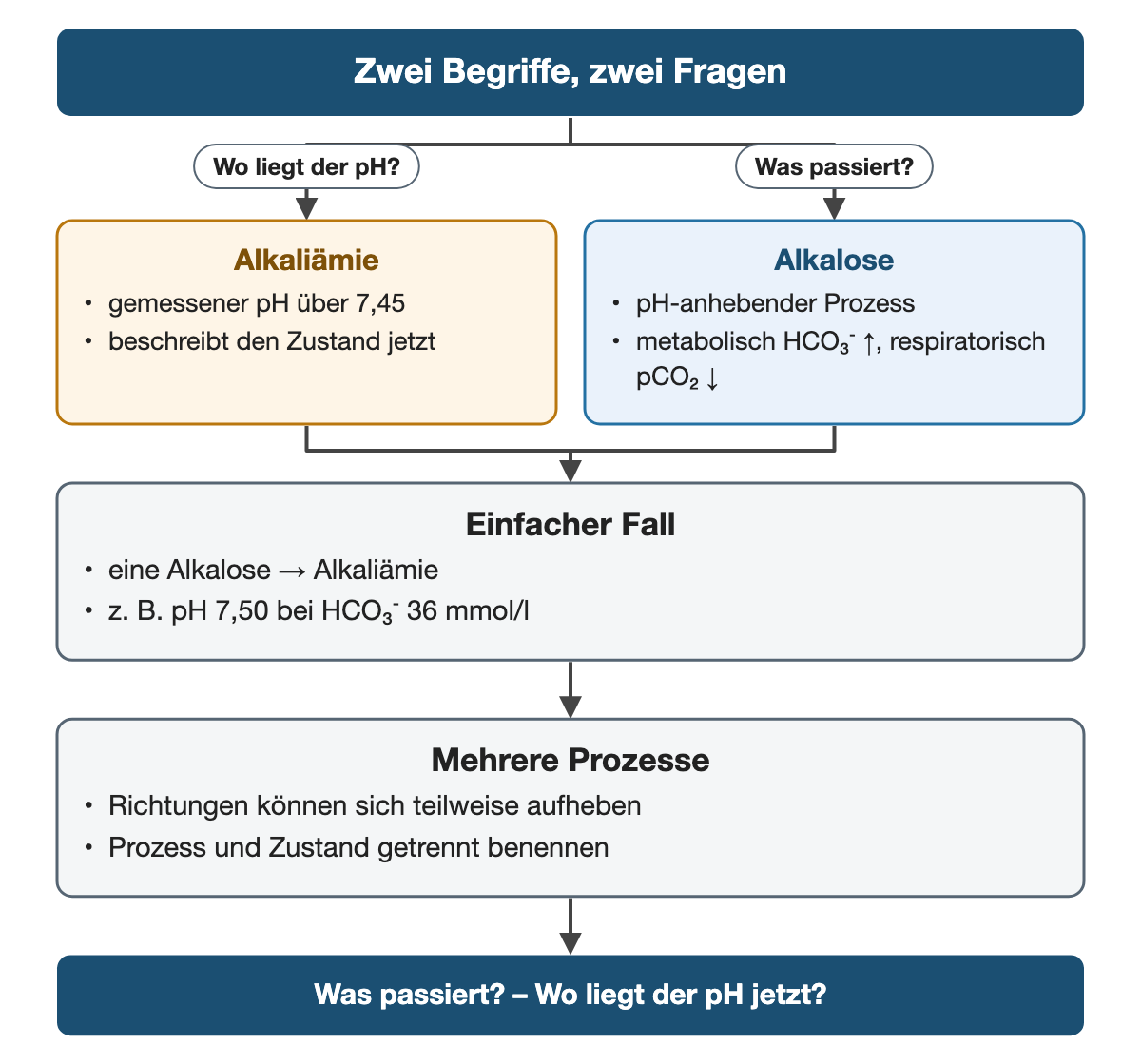 Von oben nach unten. Oben: Zwei Begriffe, zwei Fragen. Nebeneinander: Wo liegt der pH? → Alkaliämie: gemessener pH über 7,45, beschreibt den Zustand jetzt | Was passiert? → Alkalose: pH-anhebender Prozess, metabolisch HCO₃⁻ ↑, respiratorisch pCO₂ ↓. Einfacher Fall: eine Alkalose → Alkaliämie, z. B. pH 7,50 bei HCO₃⁻ 36 mmol/l. Mehrere Prozesse: Richtungen können sich teilweise aufheben, Prozess und Zustand getrennt benennen. Ergebnis: Was passiert? – Wo liegt der pH jetzt?.