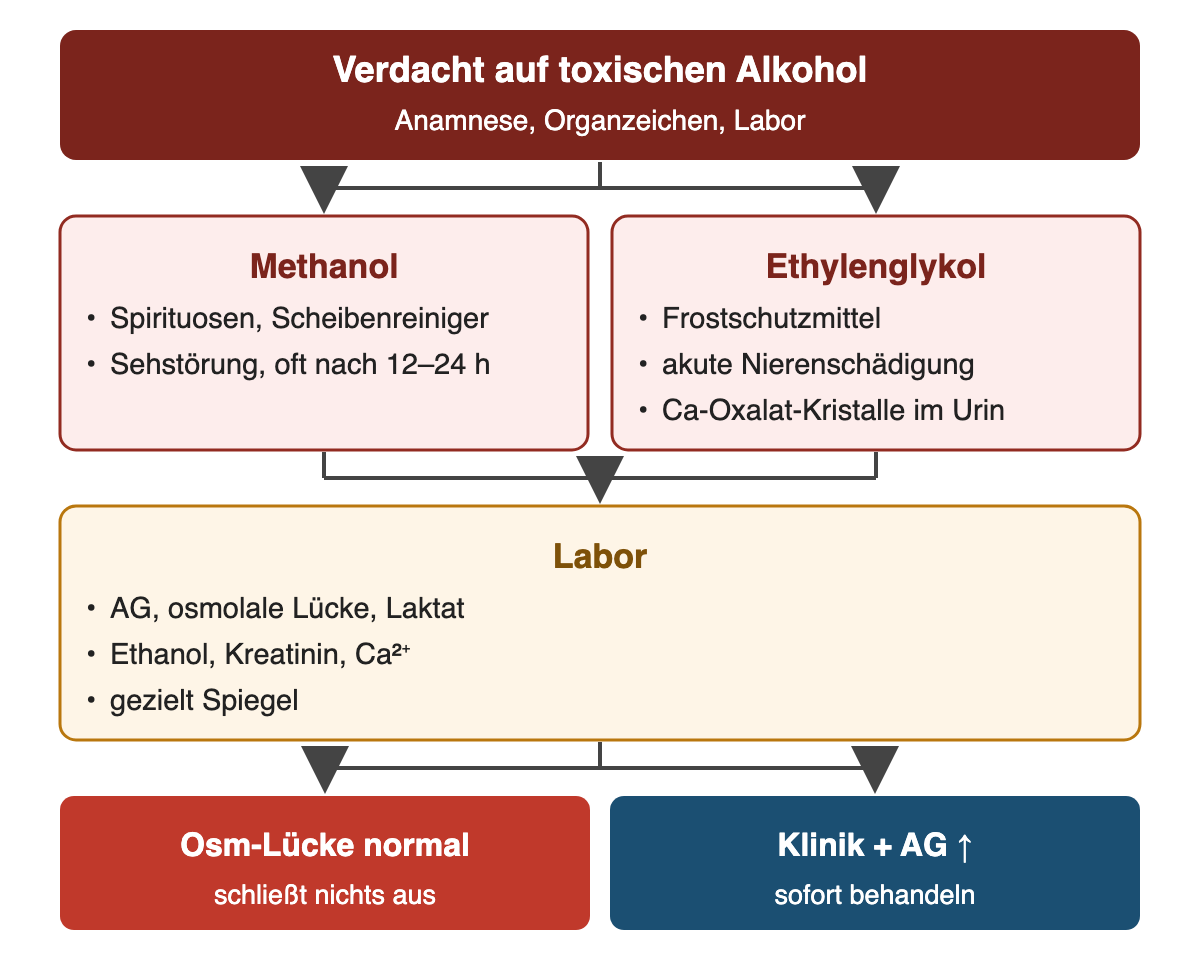 Von oben nach unten: Verdacht auf toxischen Alkohol: Anamnese, Organzeichen, Labor; Methanol: Spirituosen, Scheibenreiniger, Sehstörung, oft nach 12–24 h; Ethylenglykol: Frostschutzmittel, akute Nierenschädigung, Ca-Oxalat-Kristalle im Urin; Labor: AG, osmolale Lücke, Laktat, Ethanol, Kreatinin, Ca²⁺, gezielt Spiegel; Ergebnis: Osm-Lücke normal – schließt nichts aus; Klinik + AG ↑ – sofort behandeln.