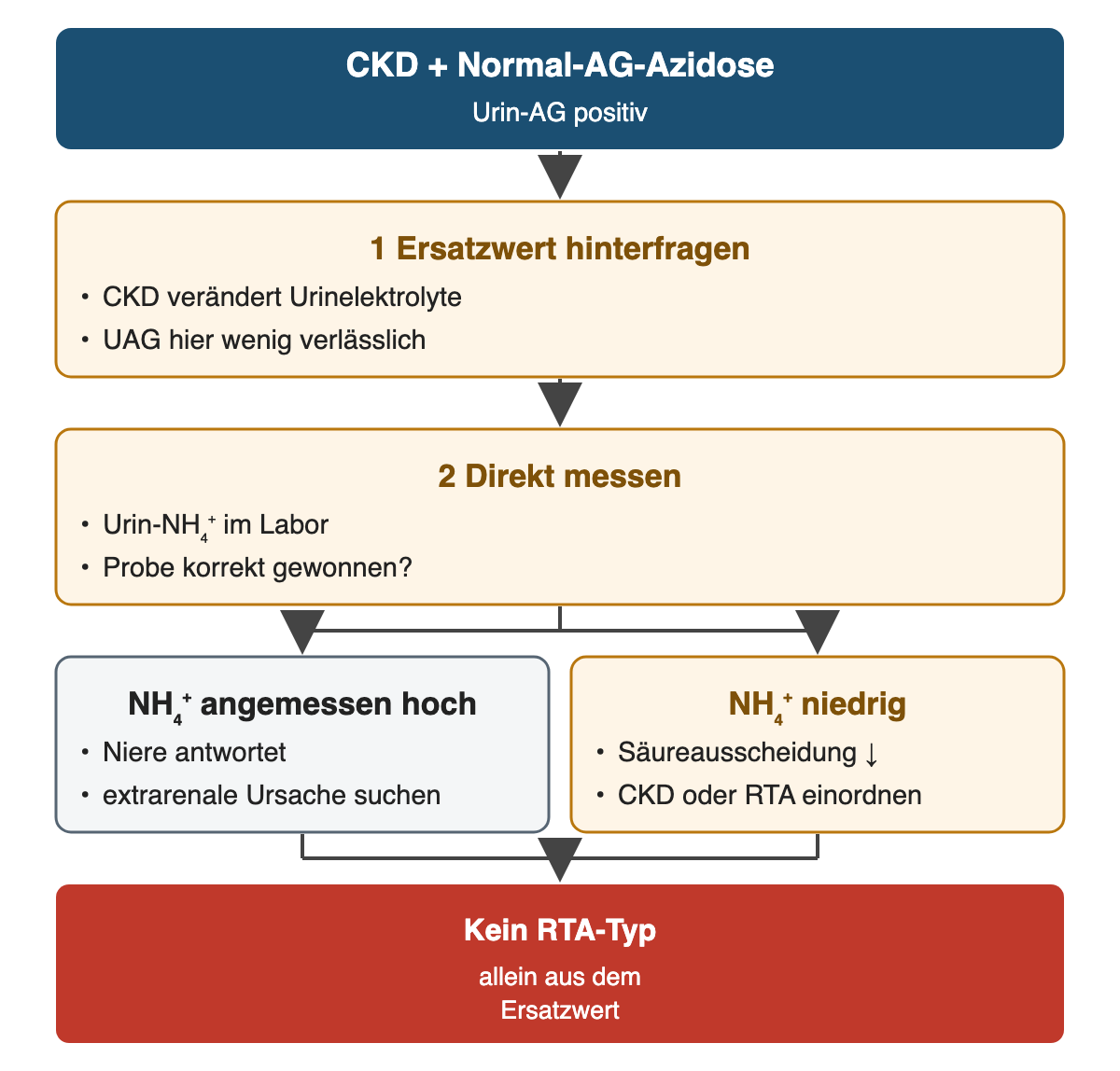 Von oben nach unten: CKD + Normal-AG-Azidose: Urin-AG positiv; Ersatzwert hinterfragen: CKD verändert Urinelektrolyte, UAG hier wenig verlässlich; Direkt messen: Urin-NH₄⁺ im Labor, Probe korrekt gewonnen?; NH₄⁺ angemessen hoch: Niere antwortet, extrarenale Ursache suchen; NH₄⁺ niedrig: Säureausscheidung ↓, CKD oder RTA einordnen; Ergebnis: Kein RTA-Typ – allein aus dem Ersatzwert.