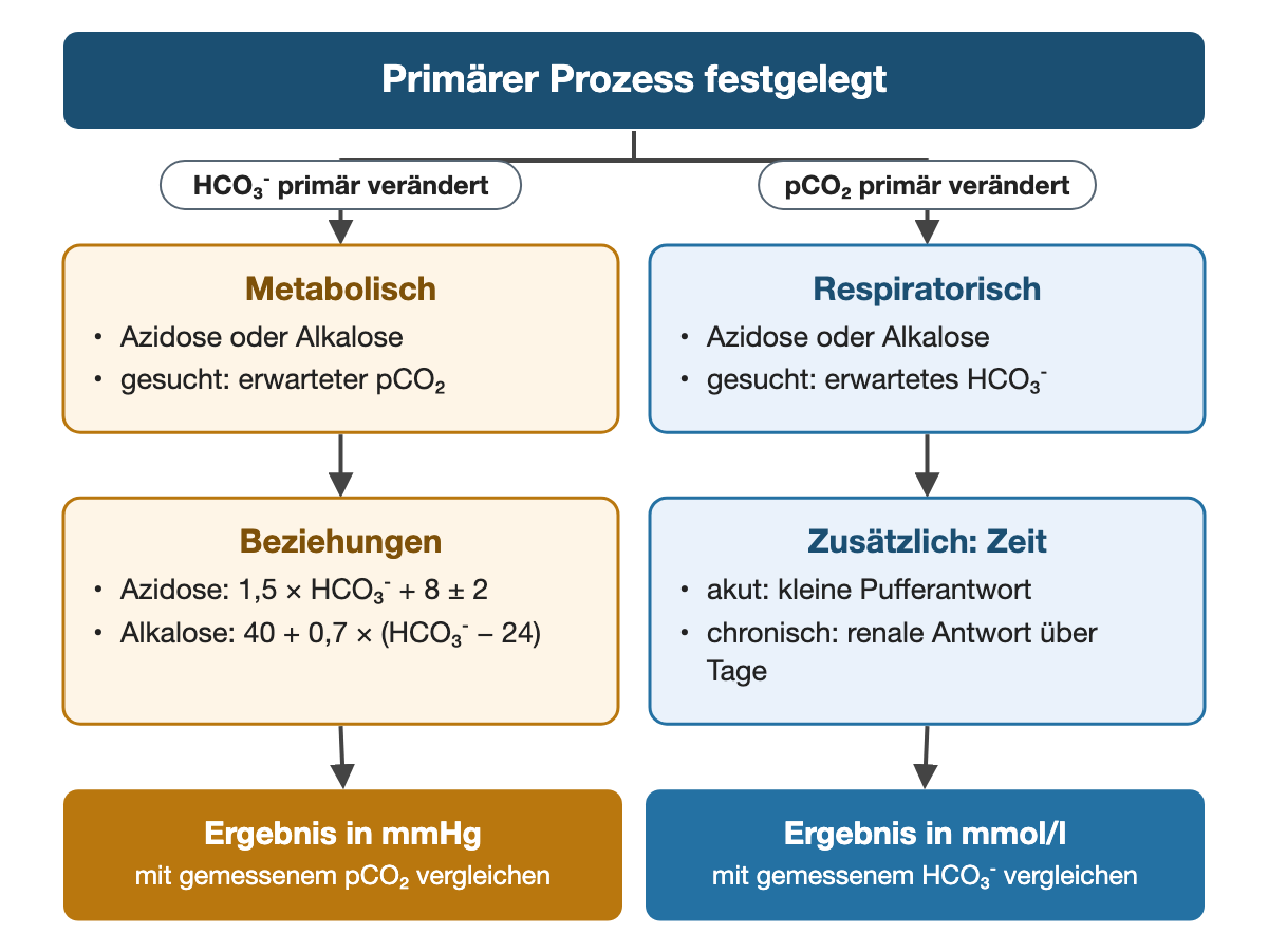 Von oben nach unten. Oben: Primärer Prozess festgelegt. Nebeneinander: HCO₃⁻ primär verändert → Metabolisch: Azidose oder Alkalose, gesucht: erwarteter pCO₂ | pCO₂ primär verändert → Respiratorisch: Azidose oder Alkalose, gesucht: erwartetes HCO₃⁻. Nebeneinander: Beziehungen: Azidose: 1,5 × HCO₃⁻ + 8 ± 2, Alkalose: 40 + 0,7 × (HCO₃⁻ − 24) | Zusätzlich: Zeit: akut: kleine Pufferantwort, chronisch: renale Antwort über Tage. Ergebnis: Ergebnis in mmHg (mit gemessenem pCO₂ vergleichen) | Ergebnis in mmol/l (mit gemessenem HCO₃⁻ vergleichen).
