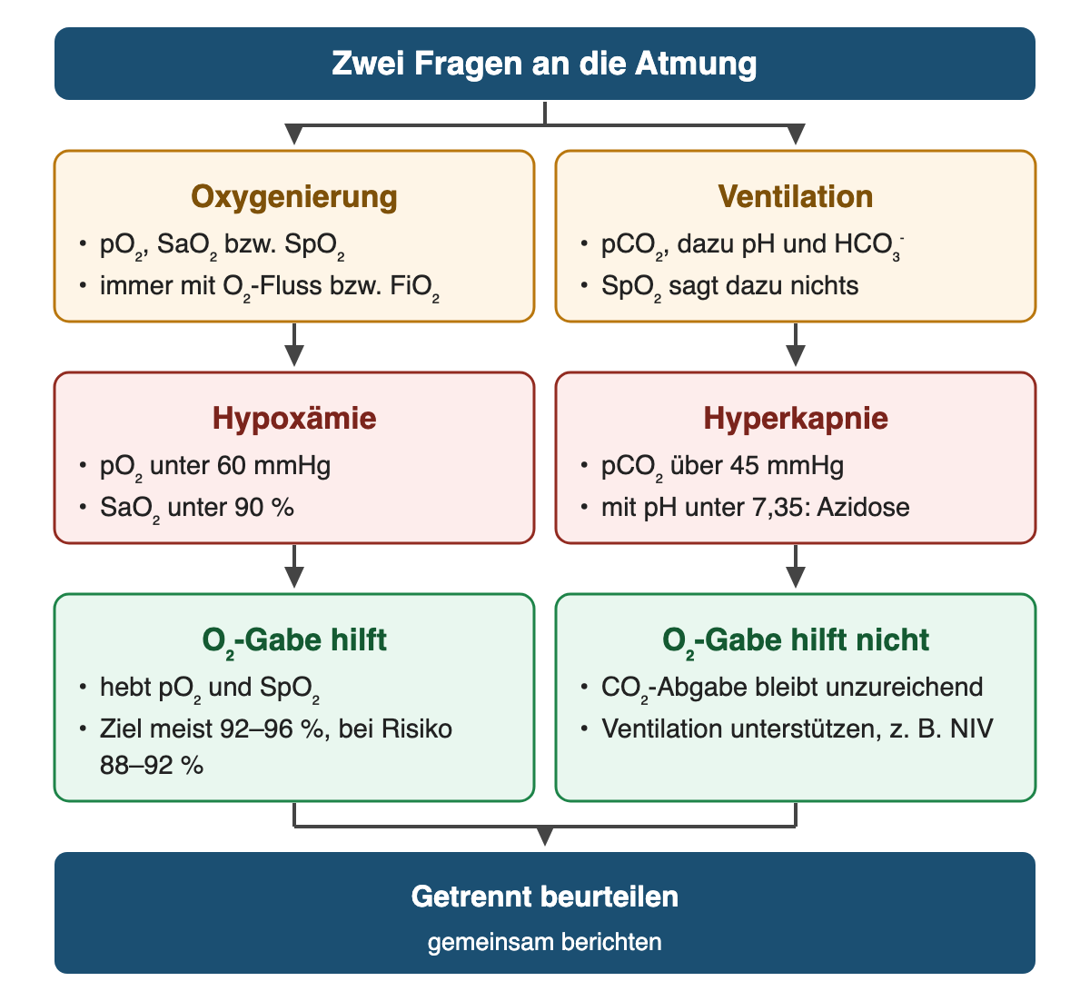 Von oben nach unten: Zwei Fragen an die Atmung. Oxygenierung: pO₂, SaO₂ bzw. SpO₂; immer mit O₂-Fluss bzw. FiO₂. Ventilation: pCO₂, dazu pH und HCO₃⁻; SpO₂ sagt dazu nichts. Hypoxämie: pO₂ unter 60 mmHg; SaO₂ unter 90 %. Hyperkapnie: pCO₂ über 45 mmHg; mit pH unter 7,35: Azidose. O₂-Gabe hilft: hebt pO₂ und SpO₂; Ziel meist 92–96 %, bei Risiko 88–92 %. O₂-Gabe hilft nicht: CO₂-Abgabe bleibt unzureichend; Ventilation unterstützen, z. B. NIV. Ergebnis: Getrennt beurteilen – gemeinsam berichten.