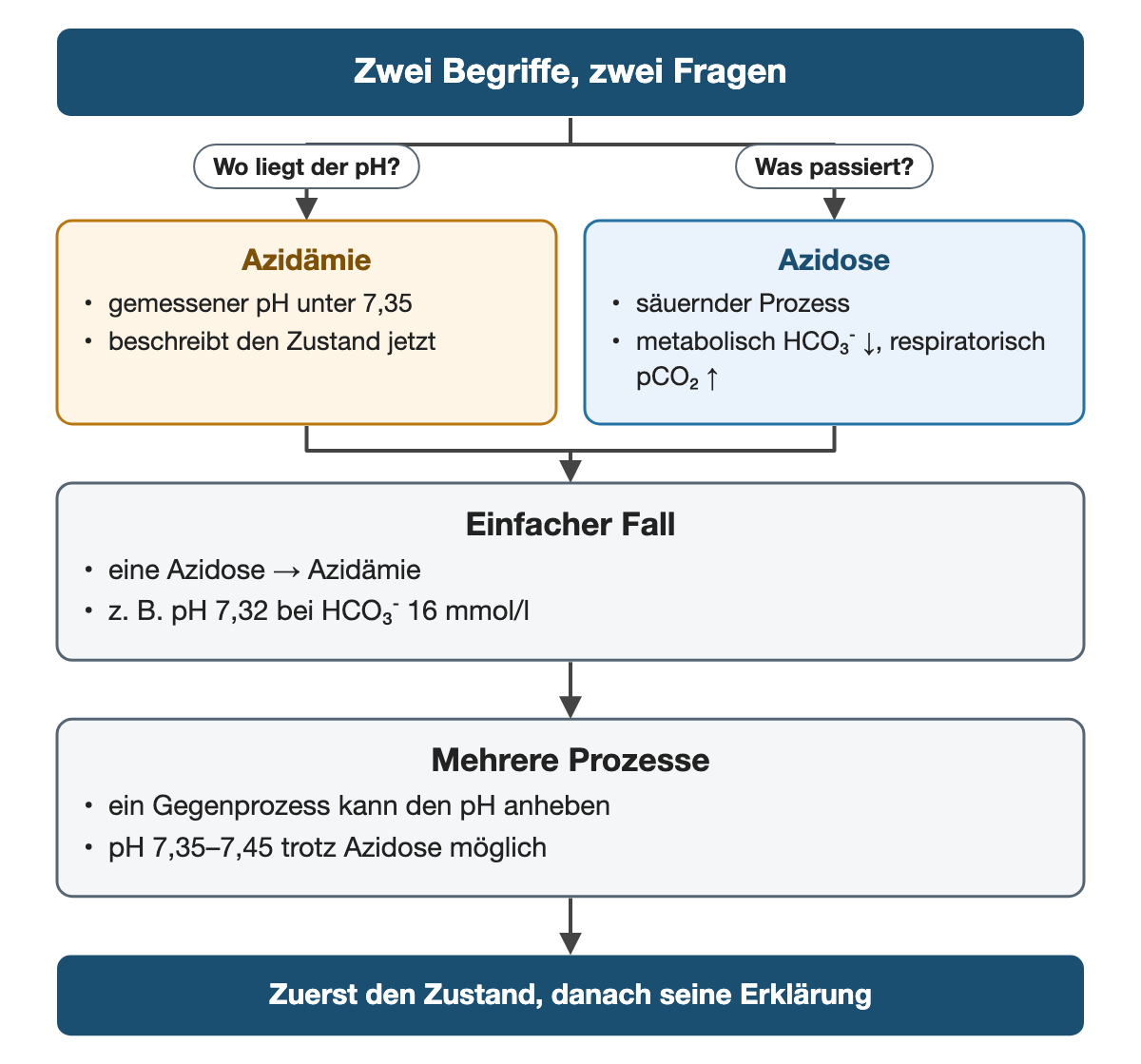 Von oben nach unten. Oben: Zwei Begriffe, zwei Fragen. Nebeneinander: Wo liegt der pH? → Azidämie: gemessener pH unter 7,35, beschreibt den Zustand jetzt | Was passiert? → Azidose: säuernder Prozess, metabolisch HCO₃⁻ ↓, respiratorisch pCO₂ ↑. Einfacher Fall: eine Azidose → Azidämie, z. B. pH 7,32 bei HCO₃⁻ 16 mmol/l. Mehrere Prozesse: ein Gegenprozess kann den pH anheben, pH 7,35–7,45 trotz Azidose möglich. Ergebnis: Zuerst den Zustand, danach seine Erklärung.