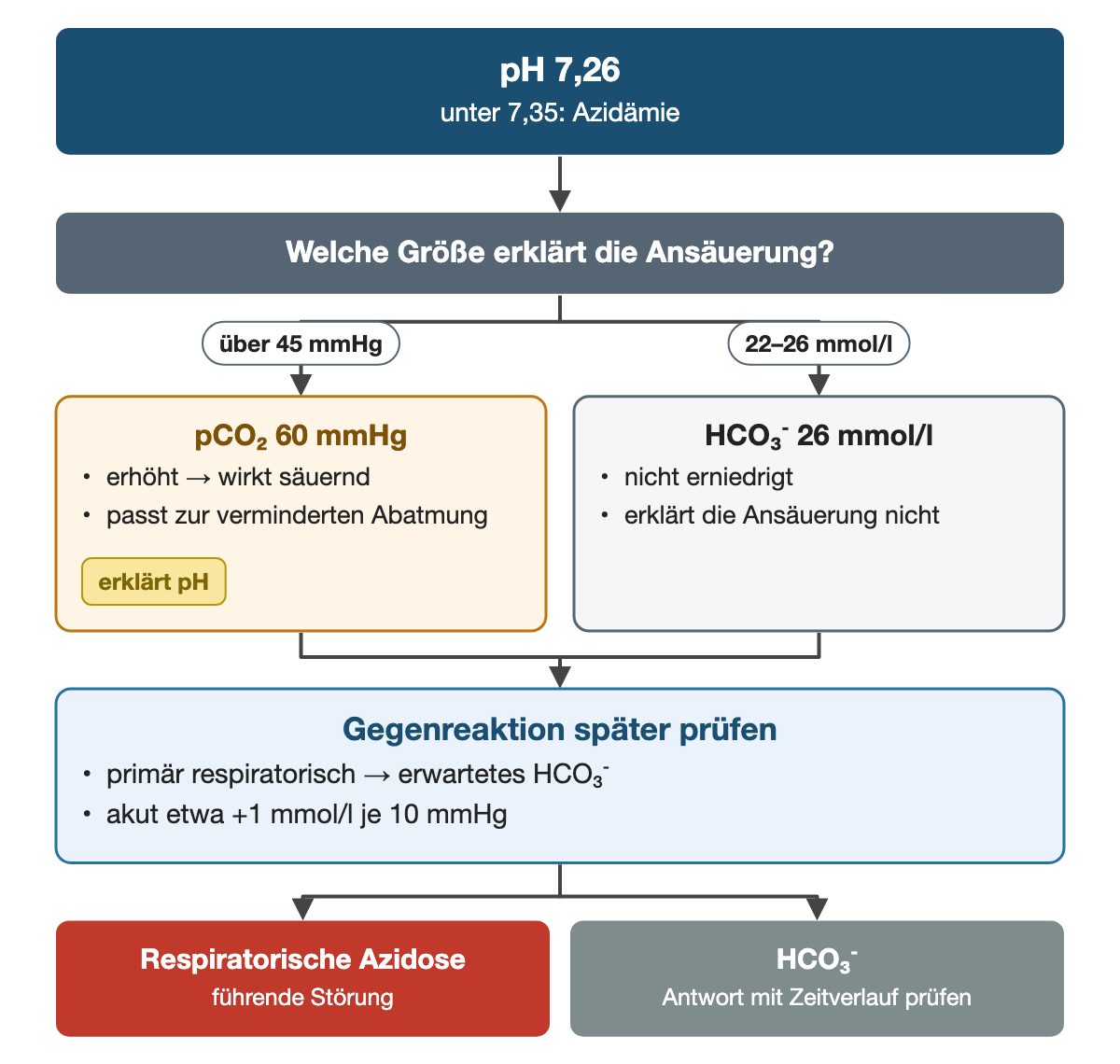 Von oben nach unten. Oben: pH 7,26 (unter 7,35: Azidämie). Welche Größe erklärt die Ansäuerung?. Nebeneinander: über 45 mmHg → pCO₂ 60 mmHg: erhöht → wirkt säuernd, passt zur verminderten Abatmung (erklärt pH) | 22–26 mmol/l → HCO₃⁻ 26 mmol/l: nicht erniedrigt, erklärt die Ansäuerung nicht. Gegenreaktion später prüfen: primär respiratorisch → erwartetes HCO₃⁻, akut etwa +1 mmol/l je 10 mmHg. Ergebnis: Respiratorische Azidose (führende Störung) | HCO₃⁻ (Antwort mit Zeitverlauf prüfen).