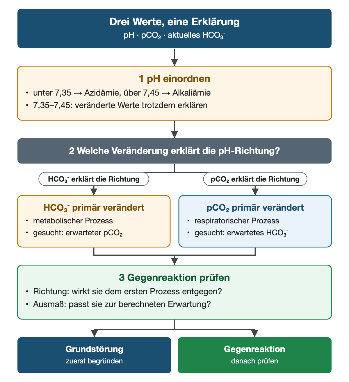 Von oben nach unten. Oben: Drei Werte, eine Erklärung (pH · pCO₂ · aktuelles HCO₃⁻). 1 pH einordnen: unter 7,35 → Azidämie, über 7,45 → Alkaliämie, 7,35–7,45: veränderte Werte trotzdem erklären. 2 Welche Veränderung erklärt die pH-Richtung?. Nebeneinander: HCO₃⁻ erklärt die Richtung → HCO₃⁻ primär verändert: metabolischer Prozess, gesucht: erwarteter pCO₂ | pCO₂ erklärt die Richtung → pCO₂ primär verändert: respiratorischer Prozess, gesucht: erwartetes HCO₃⁻. 3 Gegenreaktion prüfen: Richtung: wirkt sie dem ersten Prozess entgegen?, Ausmaß: passt sie zur berechneten Erwartung?. Ergebnis: Grundstörung (zuerst begründen) | Gegenreaktion (danach prüfen).